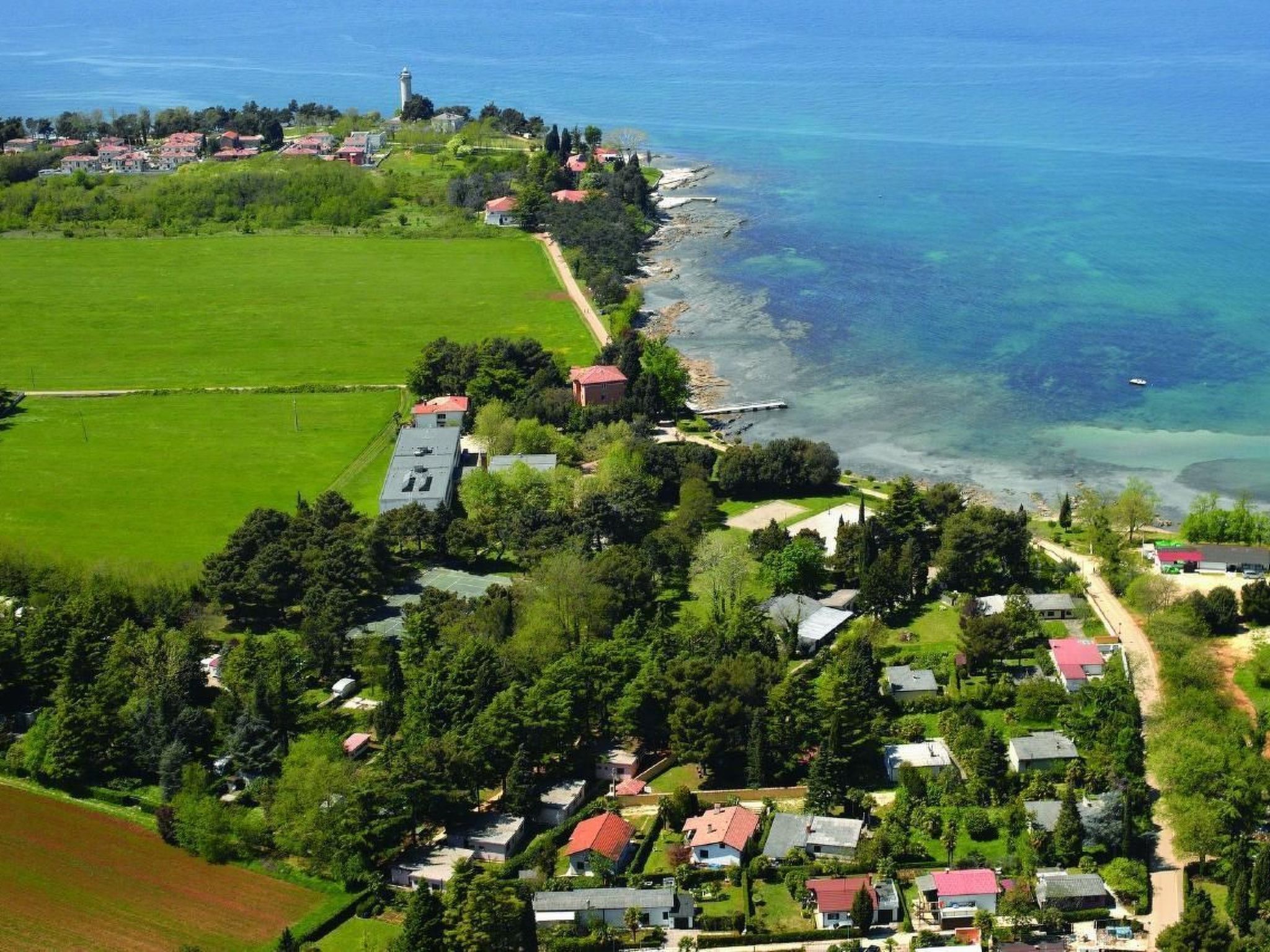 NEŽA B4-Image-tags.info