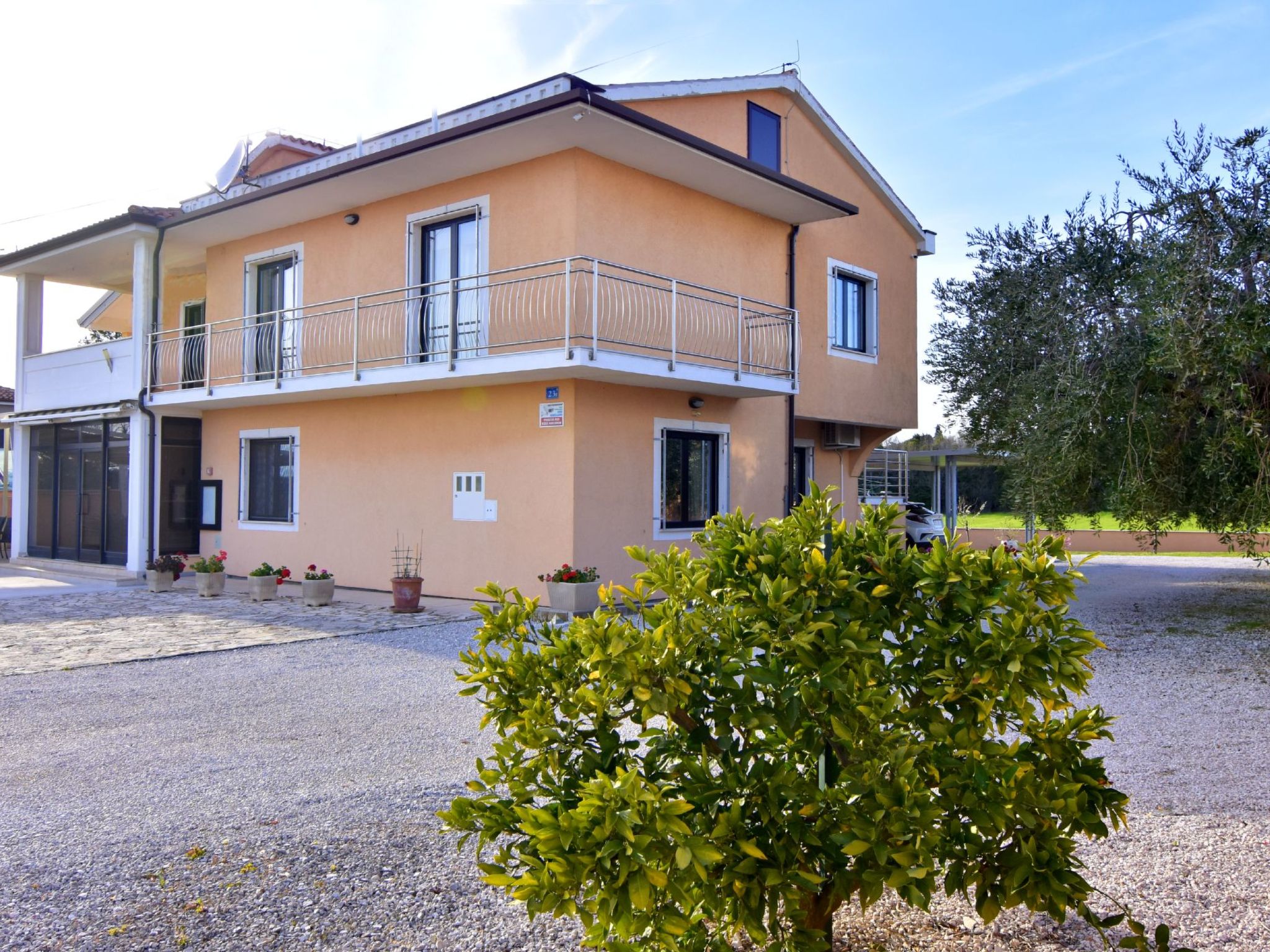 Enea 2-Image-tags.info