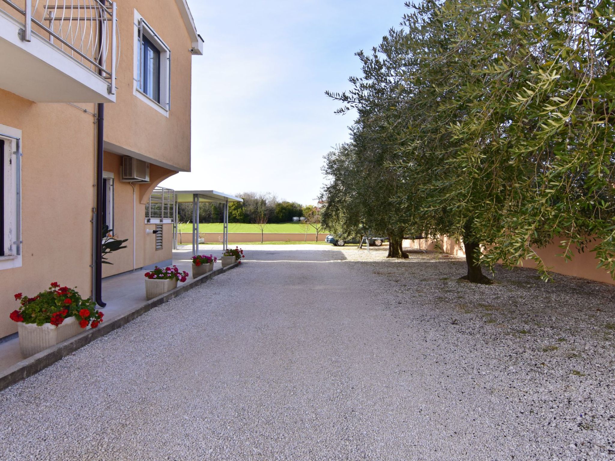 Enea 2-Image-tags.info