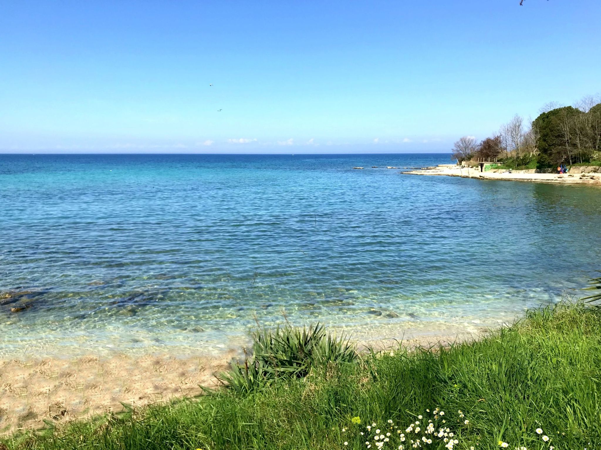 Enea 2-Image-tags.info