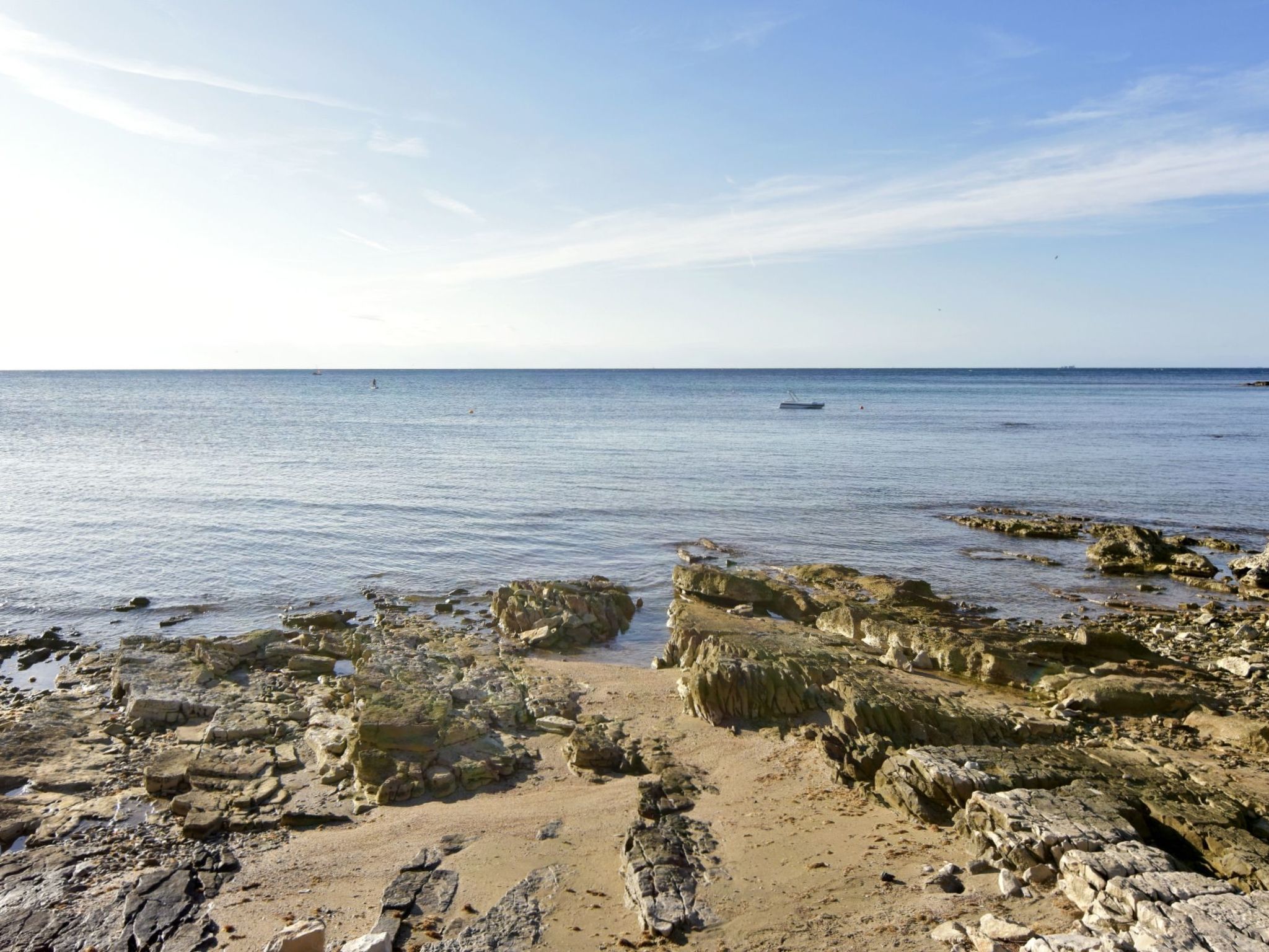 Enea 2-Image-tags.info