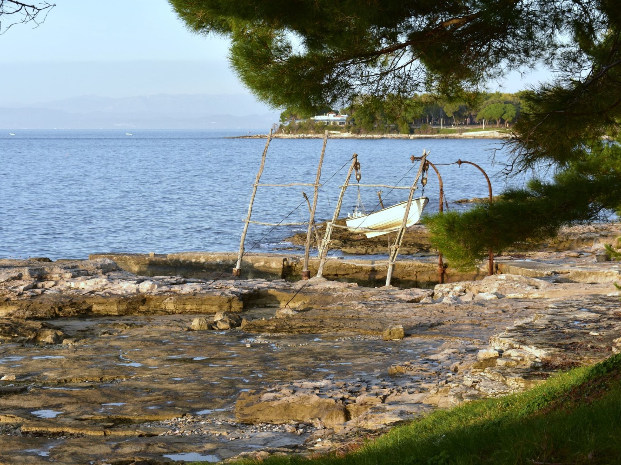 Enea 2-Image-tags.info