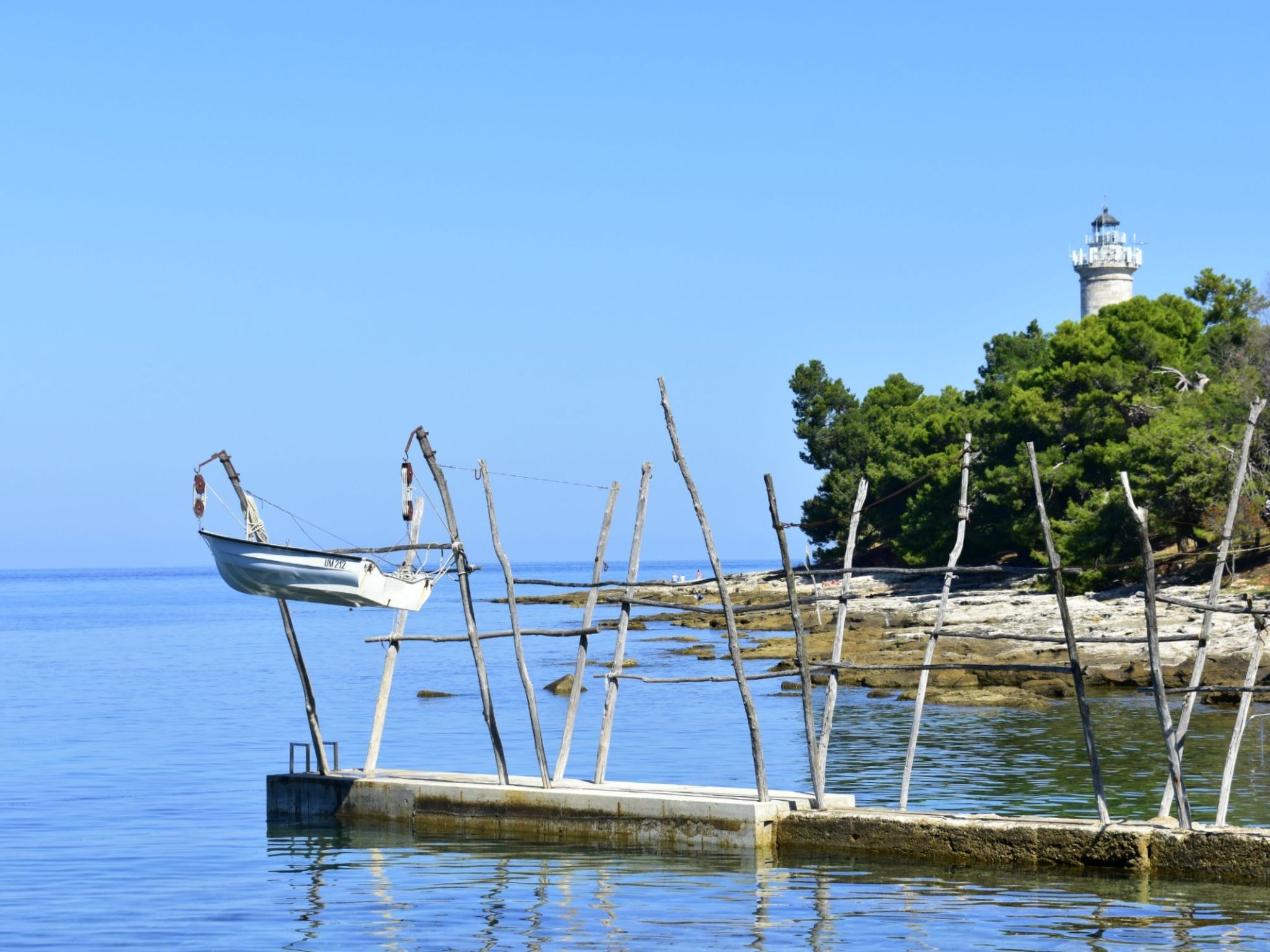 Enea 2-Image-tags.info