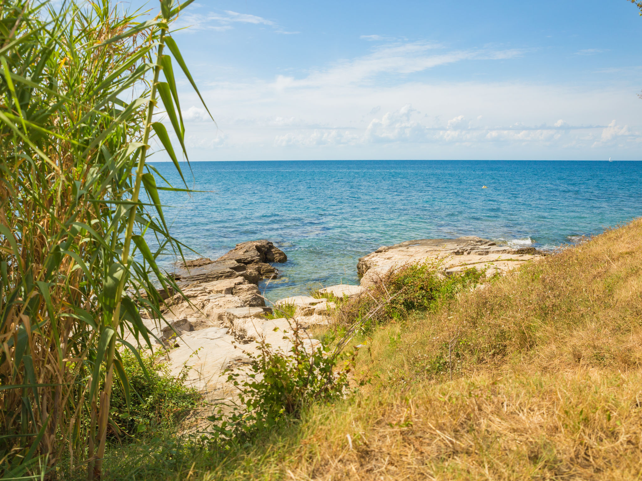 Mit Blick auf das Wasser-Area
