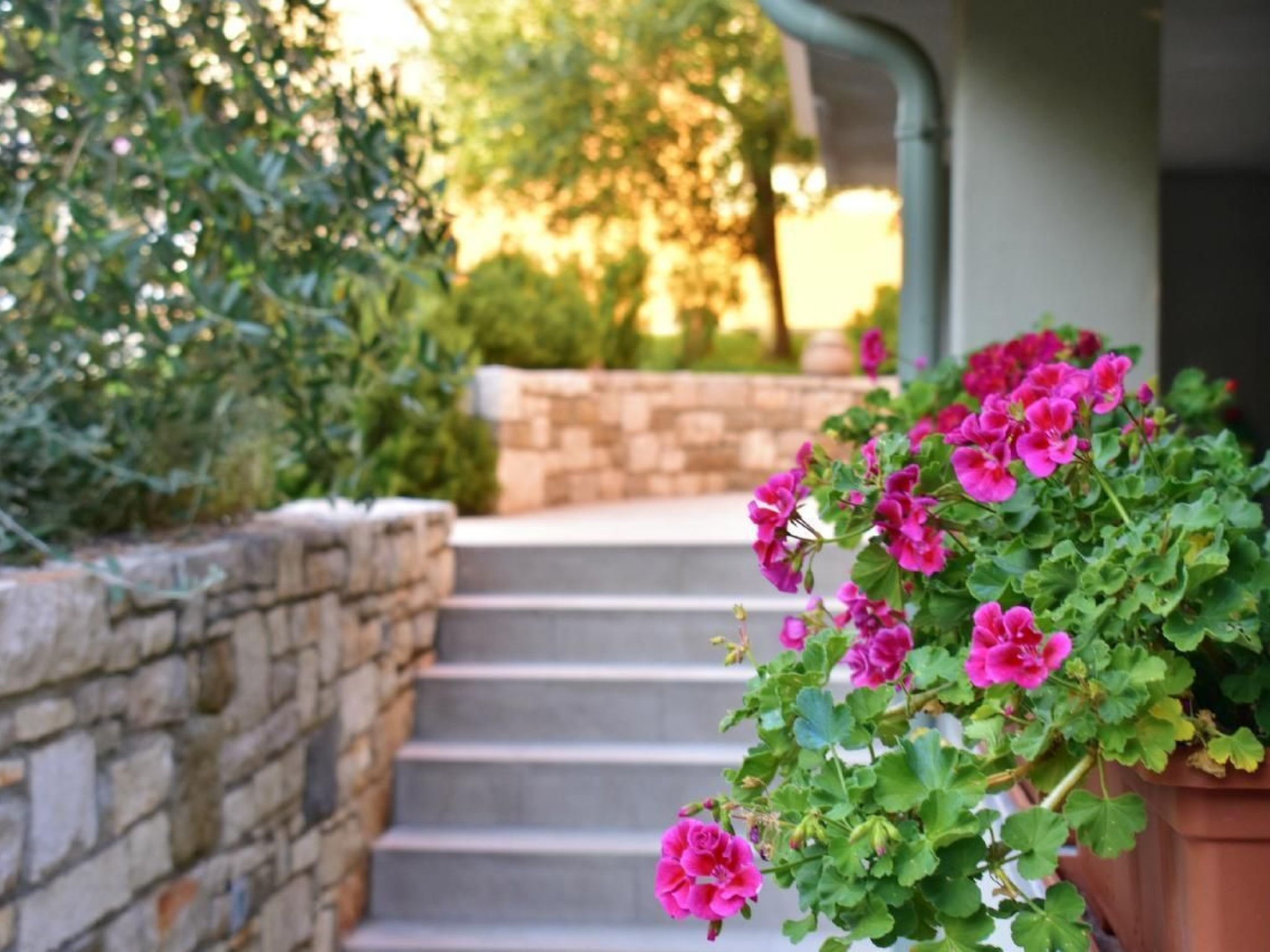 Rosemary Savudrija-Image-tags.info