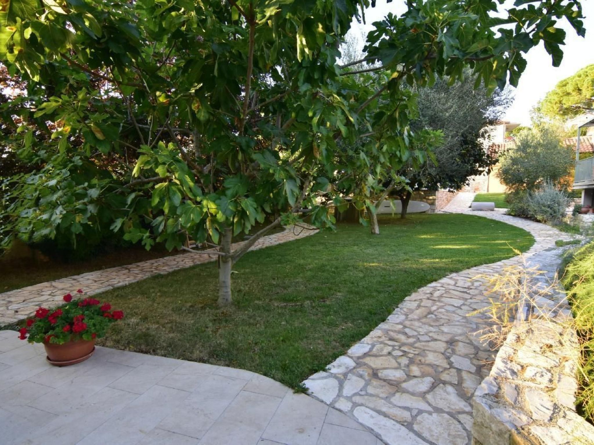 Rosemary Savudrija-Image-tags.info