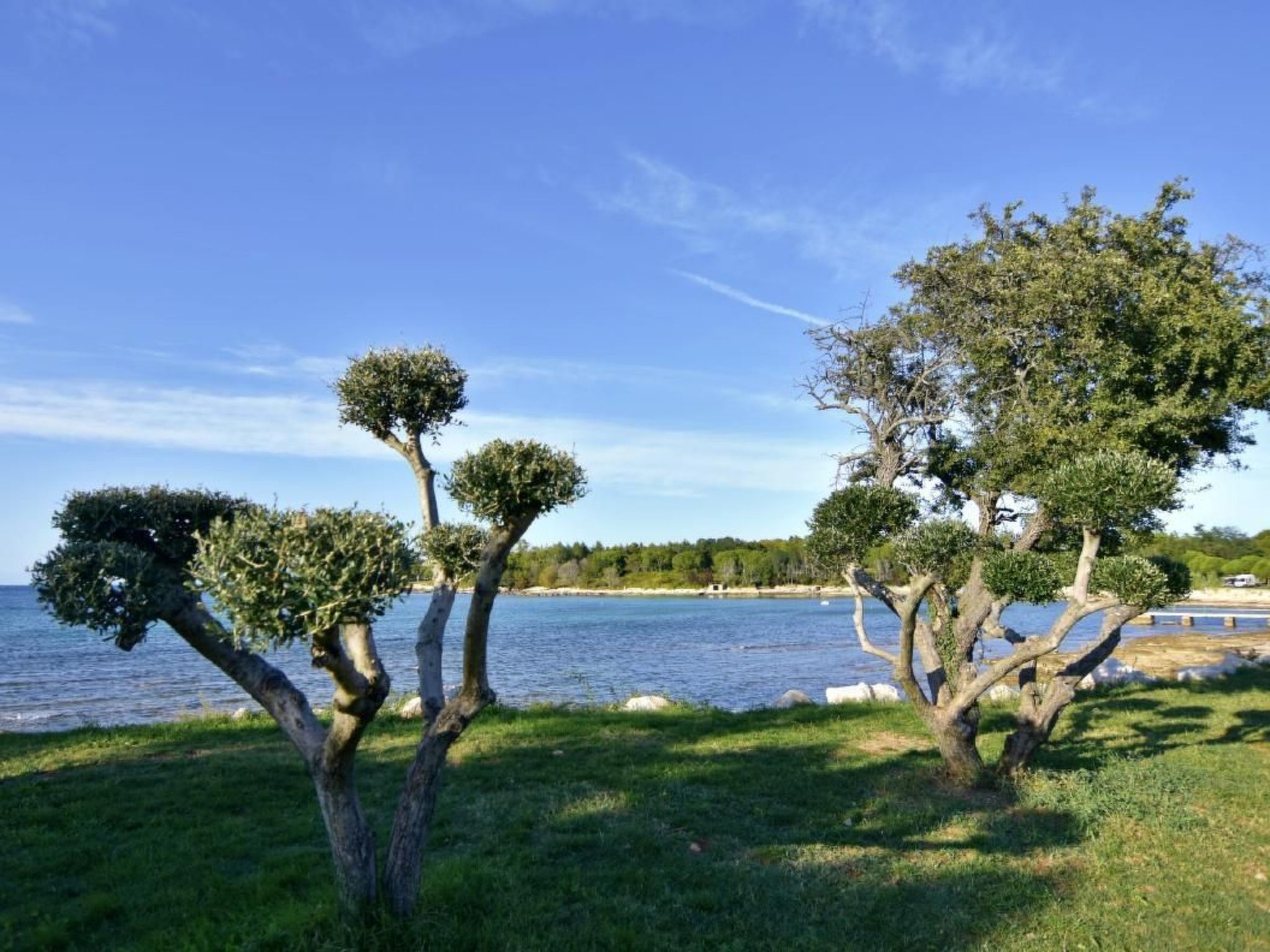 Rosemary Savudrija-Image-tags.info