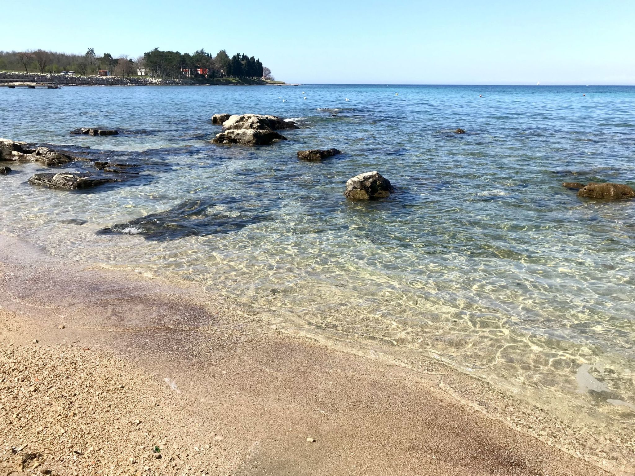 Enea 1-Image-tags.info