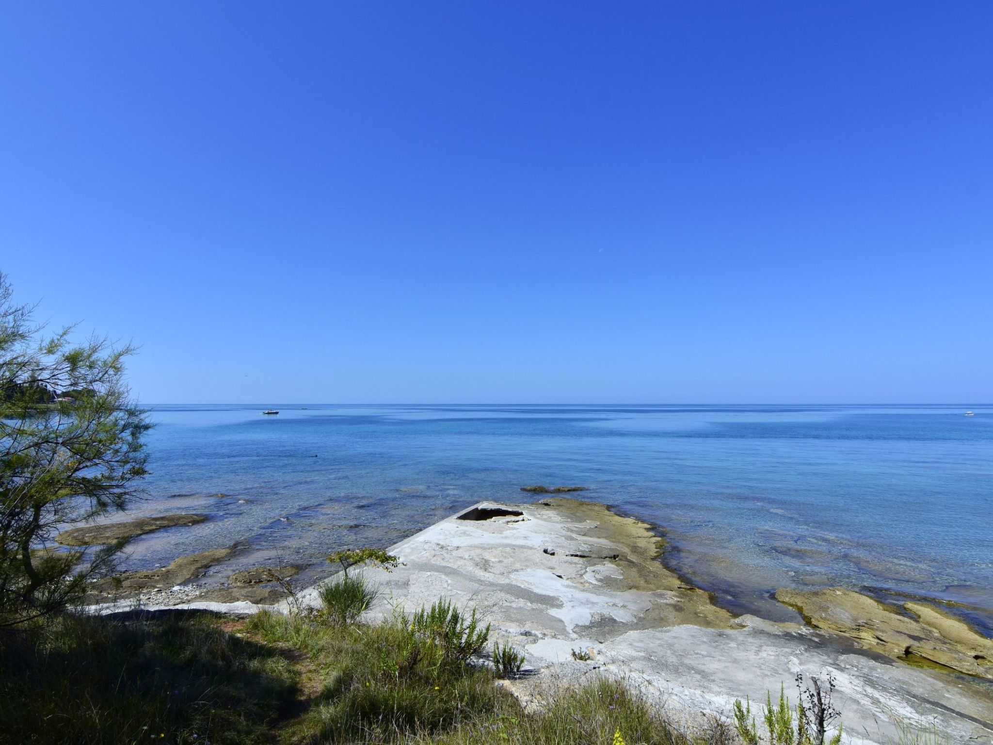 Enea 1-Image-tags.info