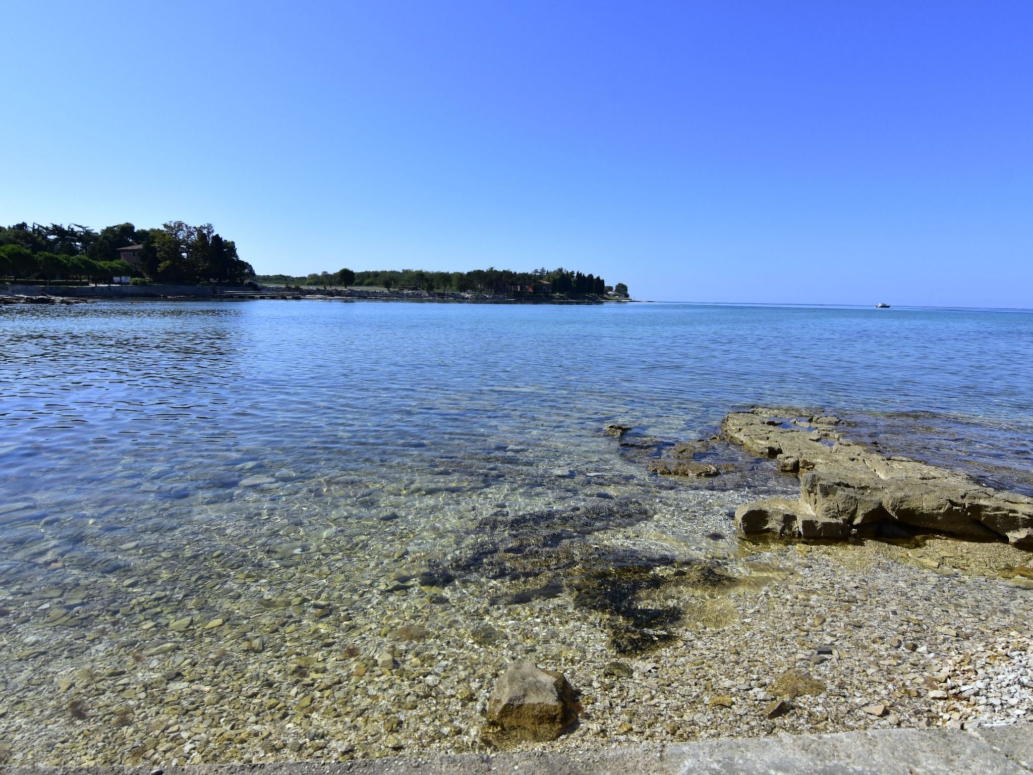 Enea 1-Image-tags.info