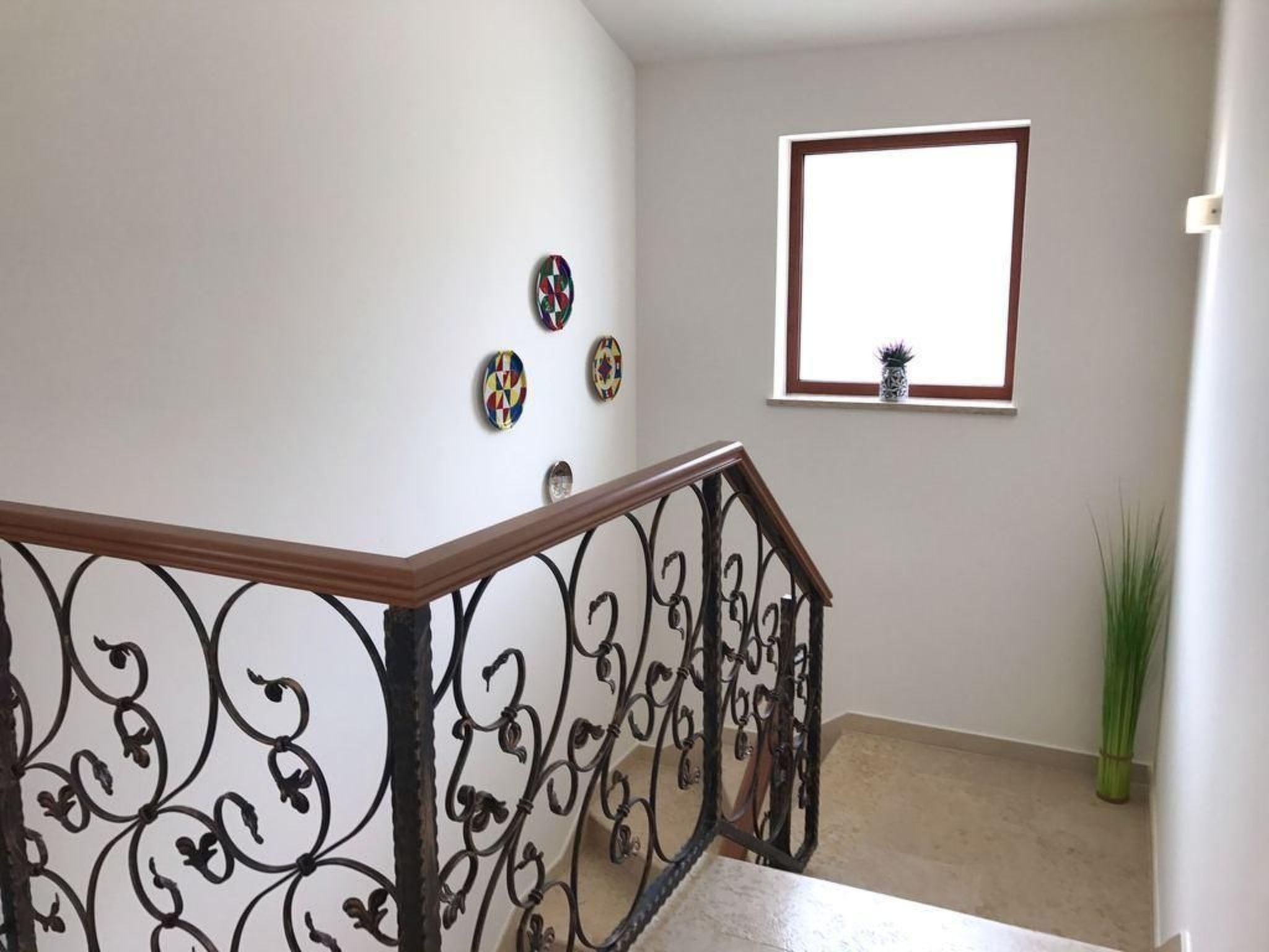 Elia 5-Image-tags.info