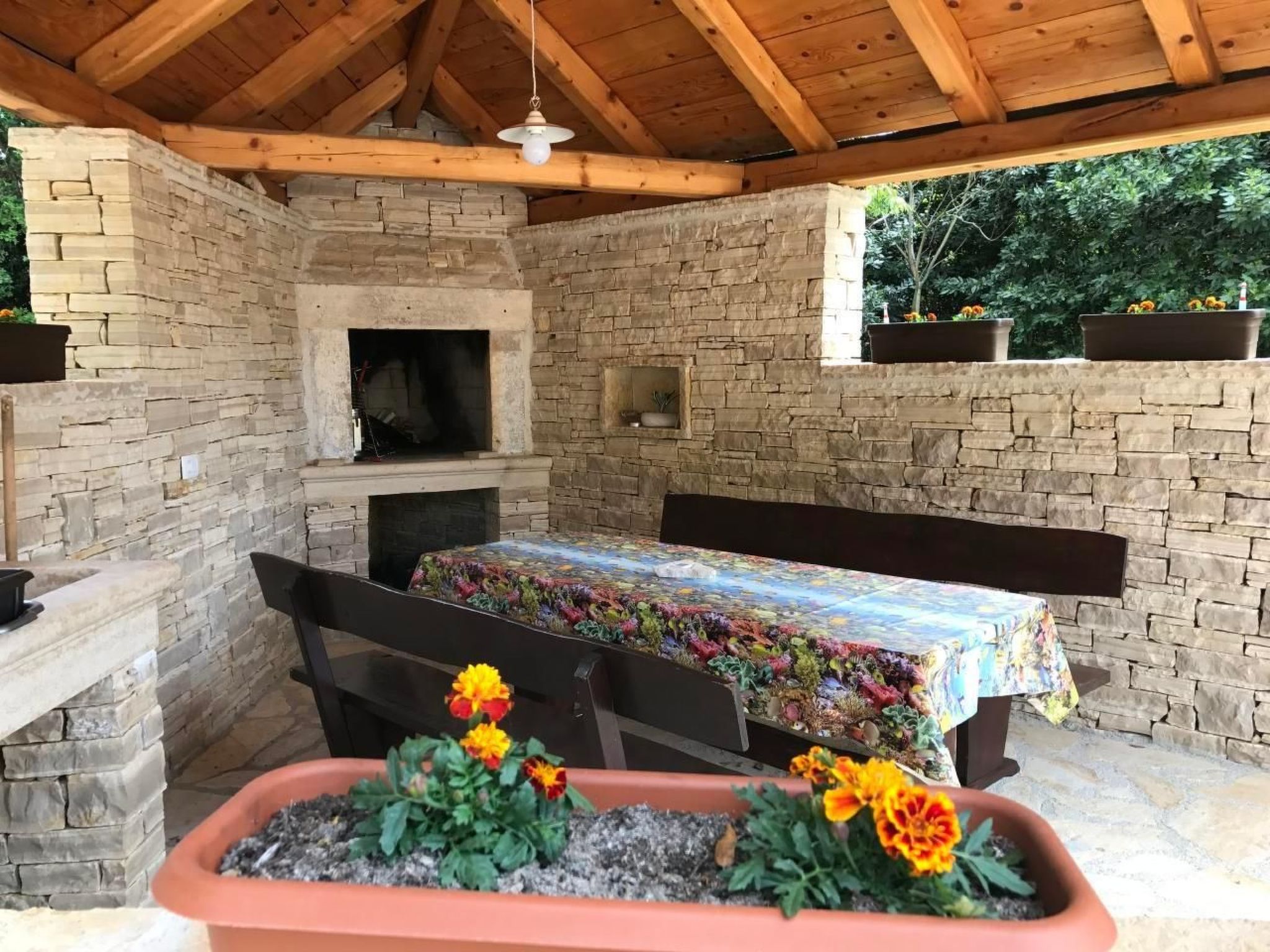 Elia 5-Image-tags.info