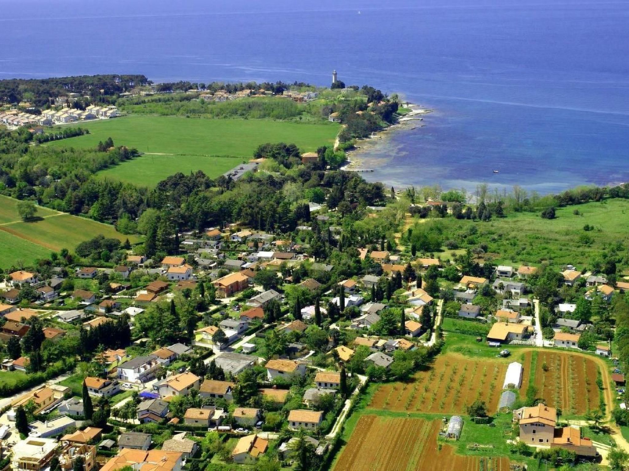 Elia 5-Image-tags.info