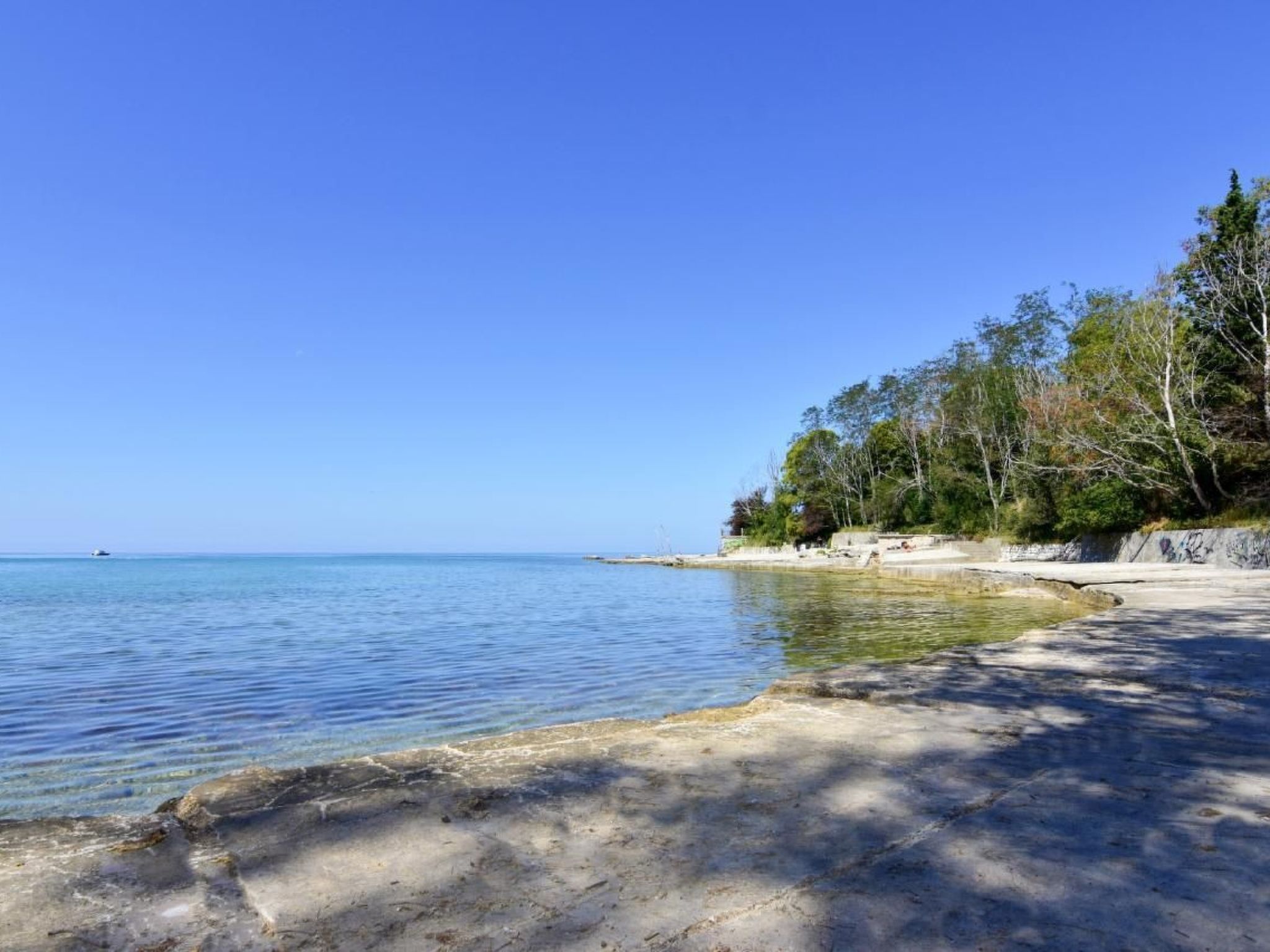 Elia 5-Image-tags.info