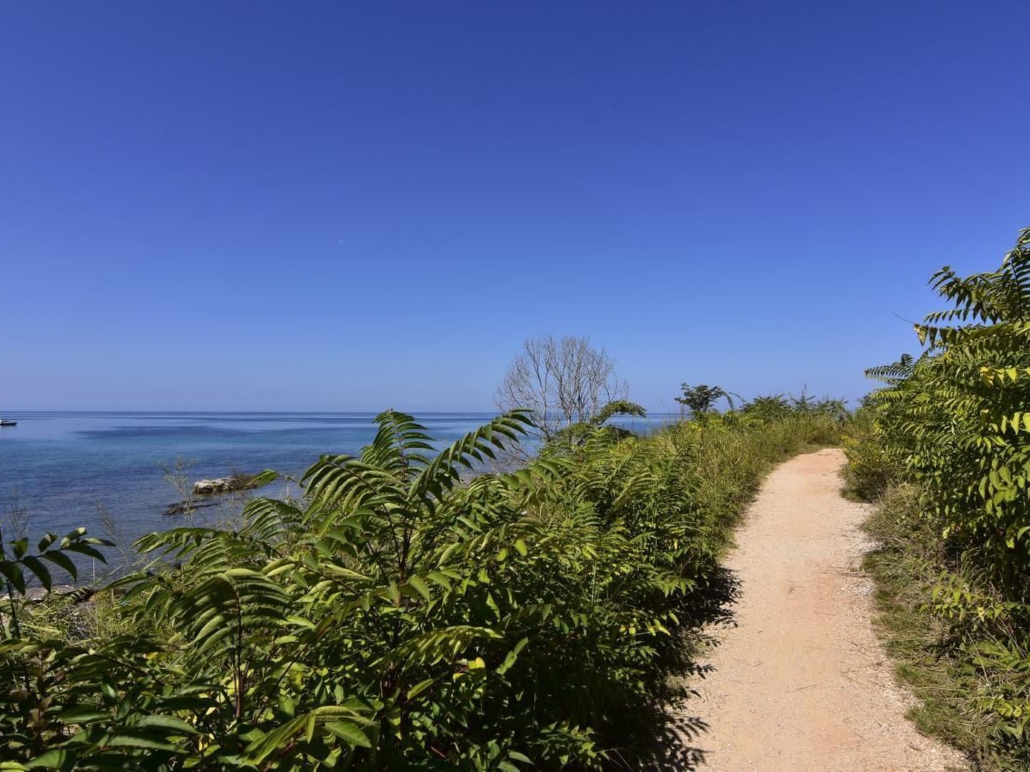 Elia 5-Image-tags.info