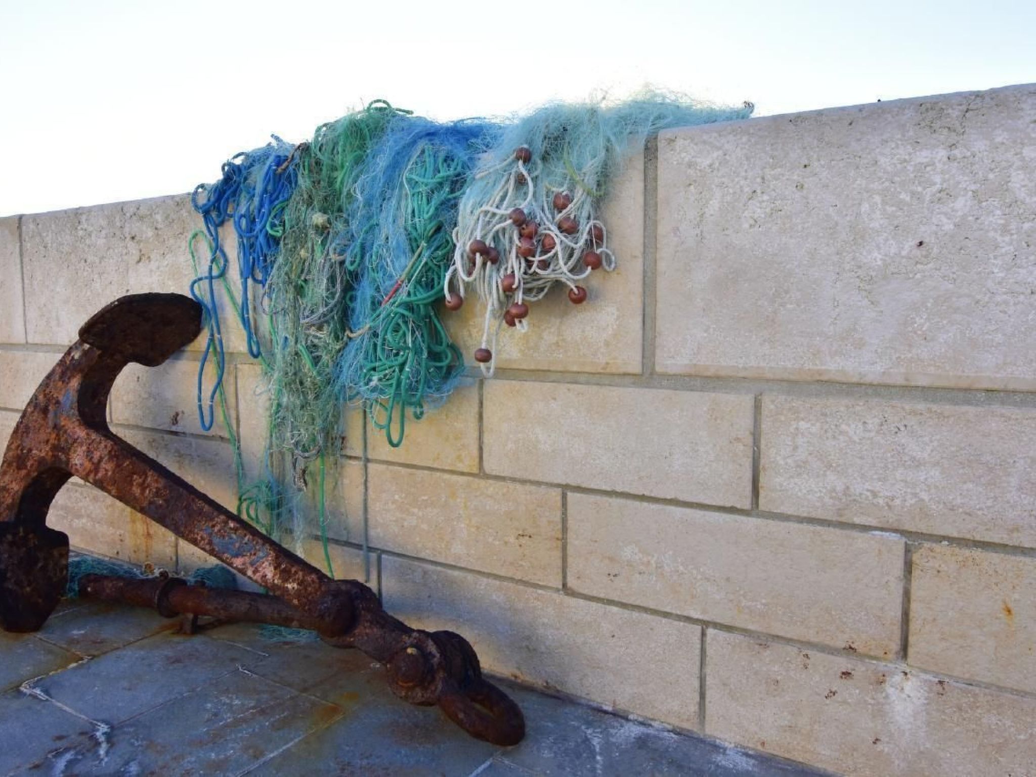 Elia 5-Image-tags.info