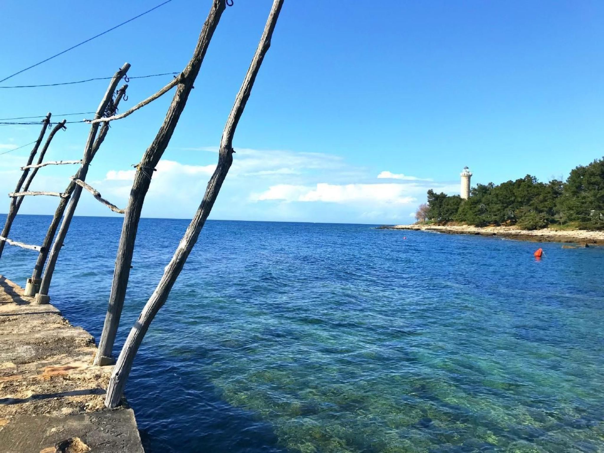 Elia 5-Image-tags.info