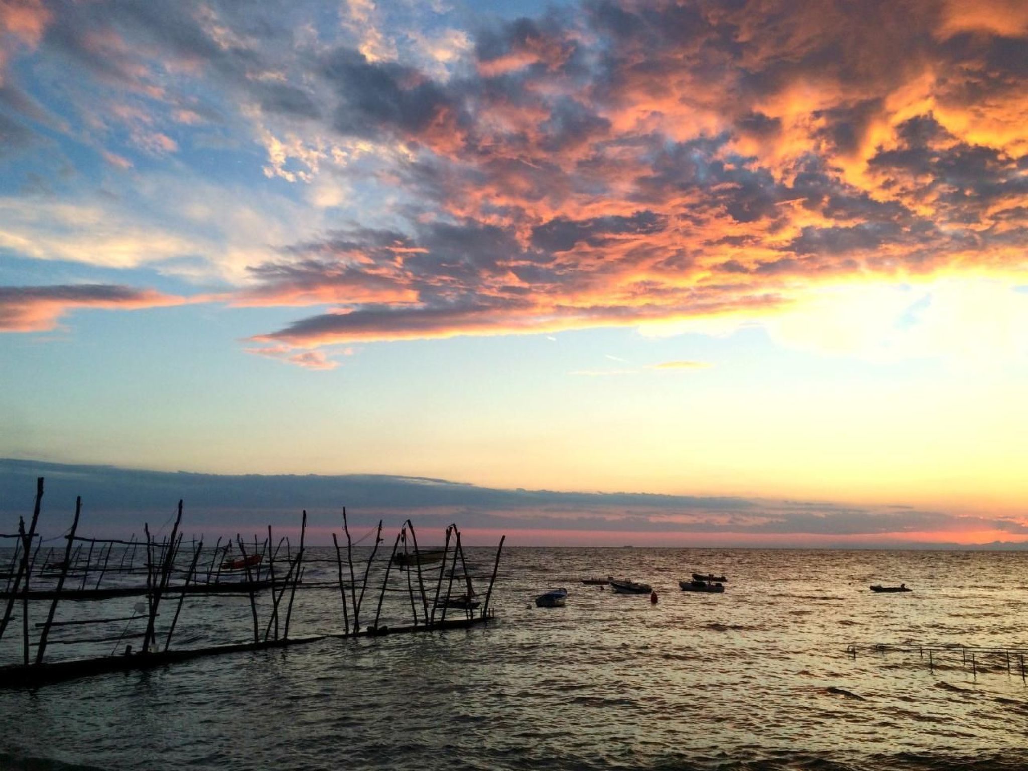 Elia 5-Image-tags.info