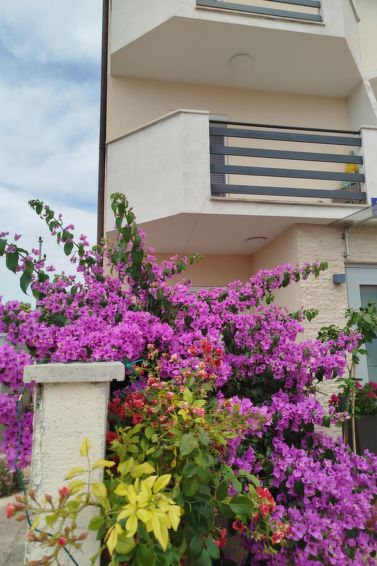Apartment Smokvica - Portorož