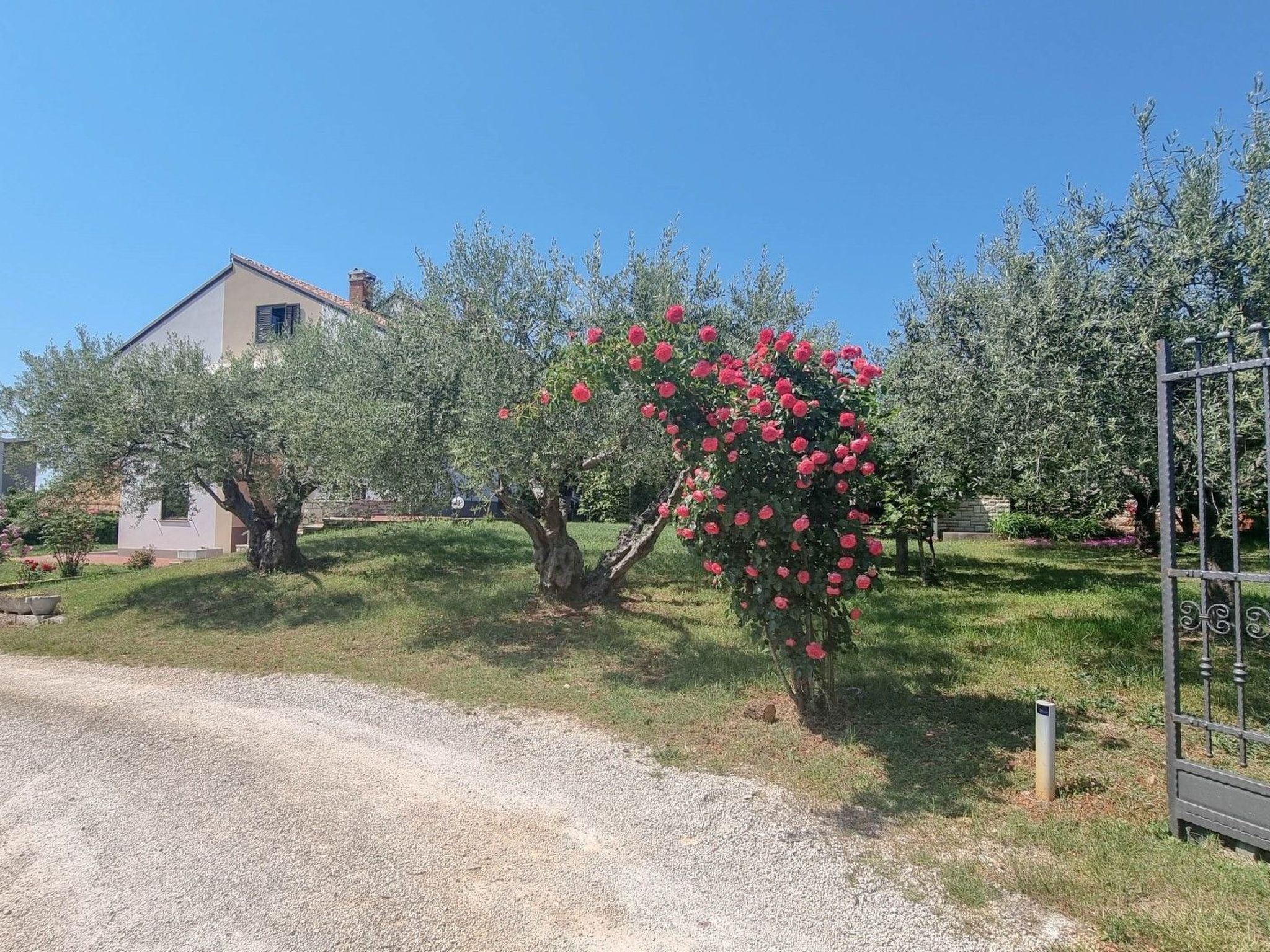 Wohnung 'Nadja' mit Blick auf das Wasser