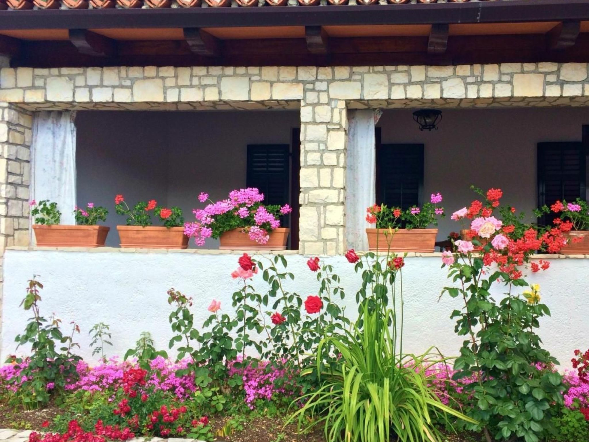 Anna-Image-tags.info