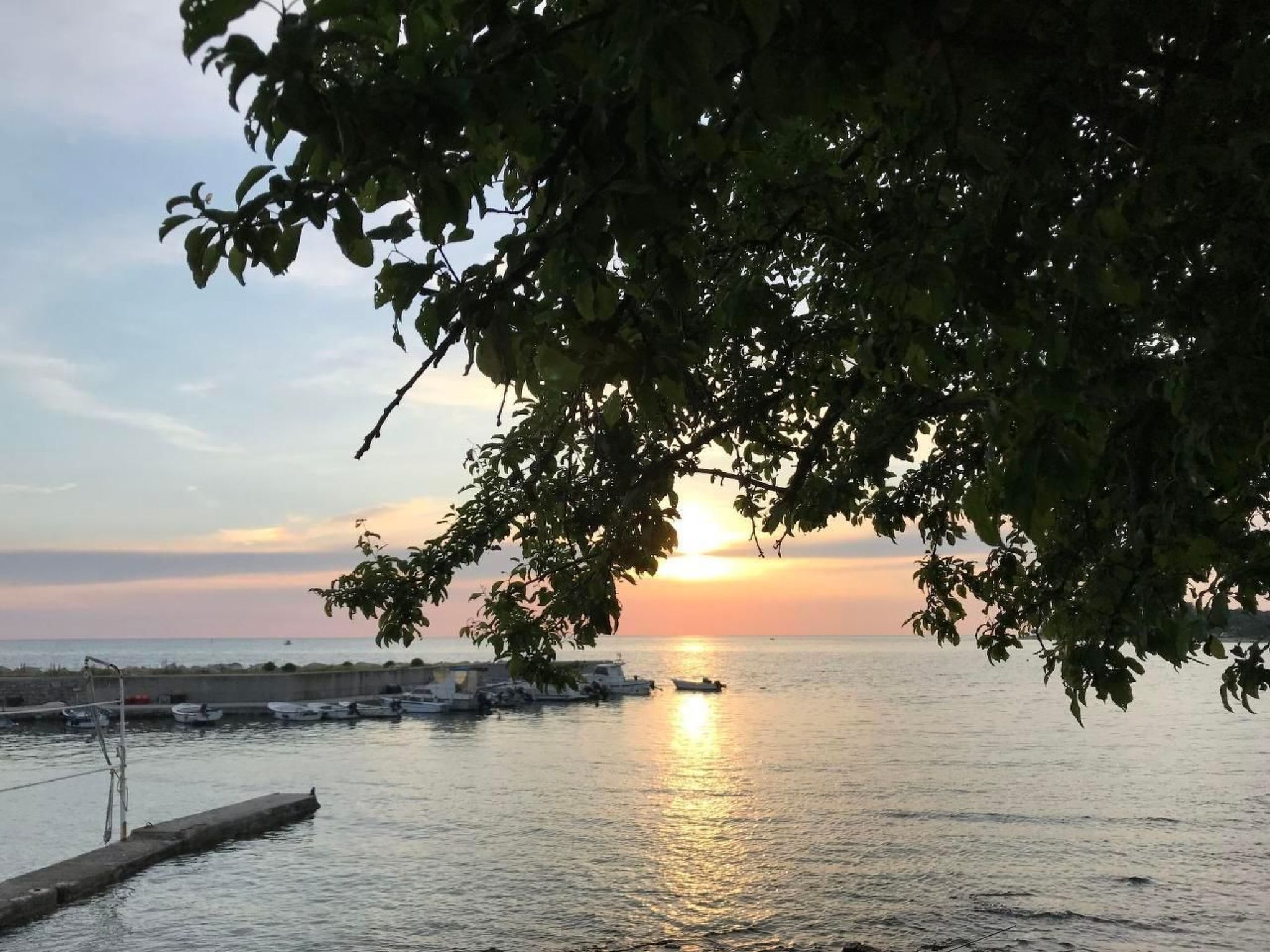 Anna-Image-tags.info