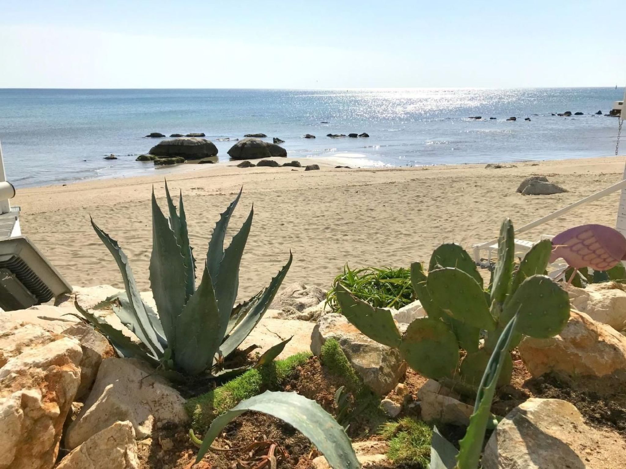 Anna-Image-tags.info