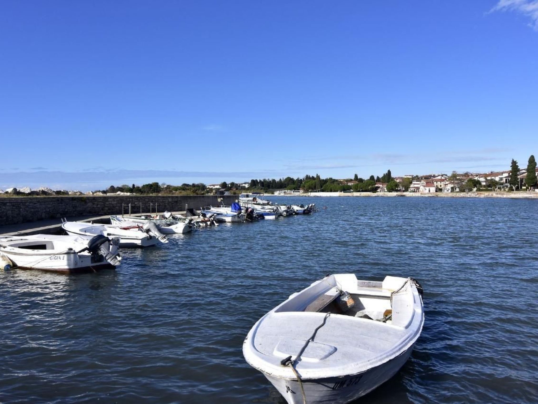 Anna-Image-tags.info