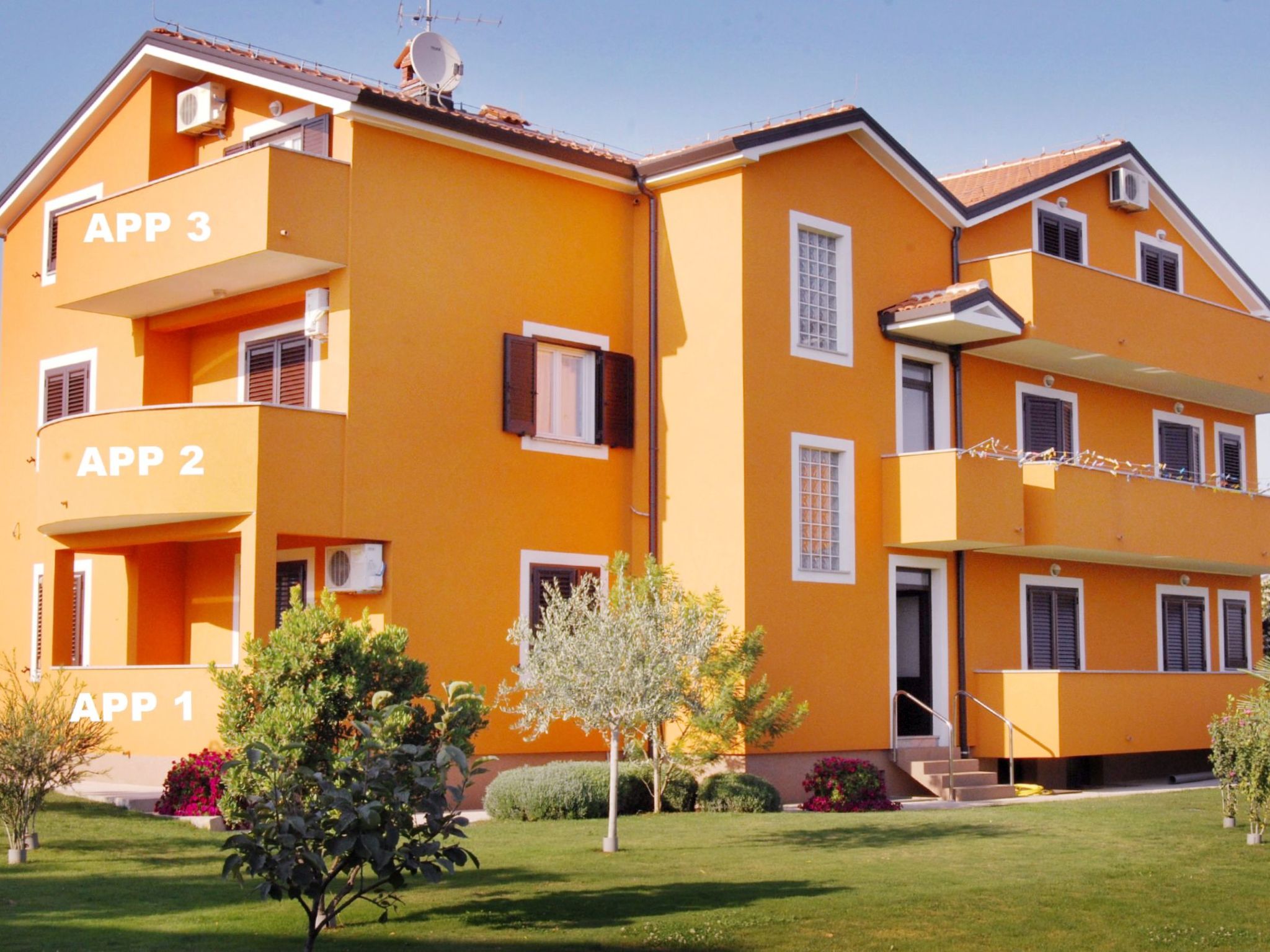 ANITA 3-Image-tags.info