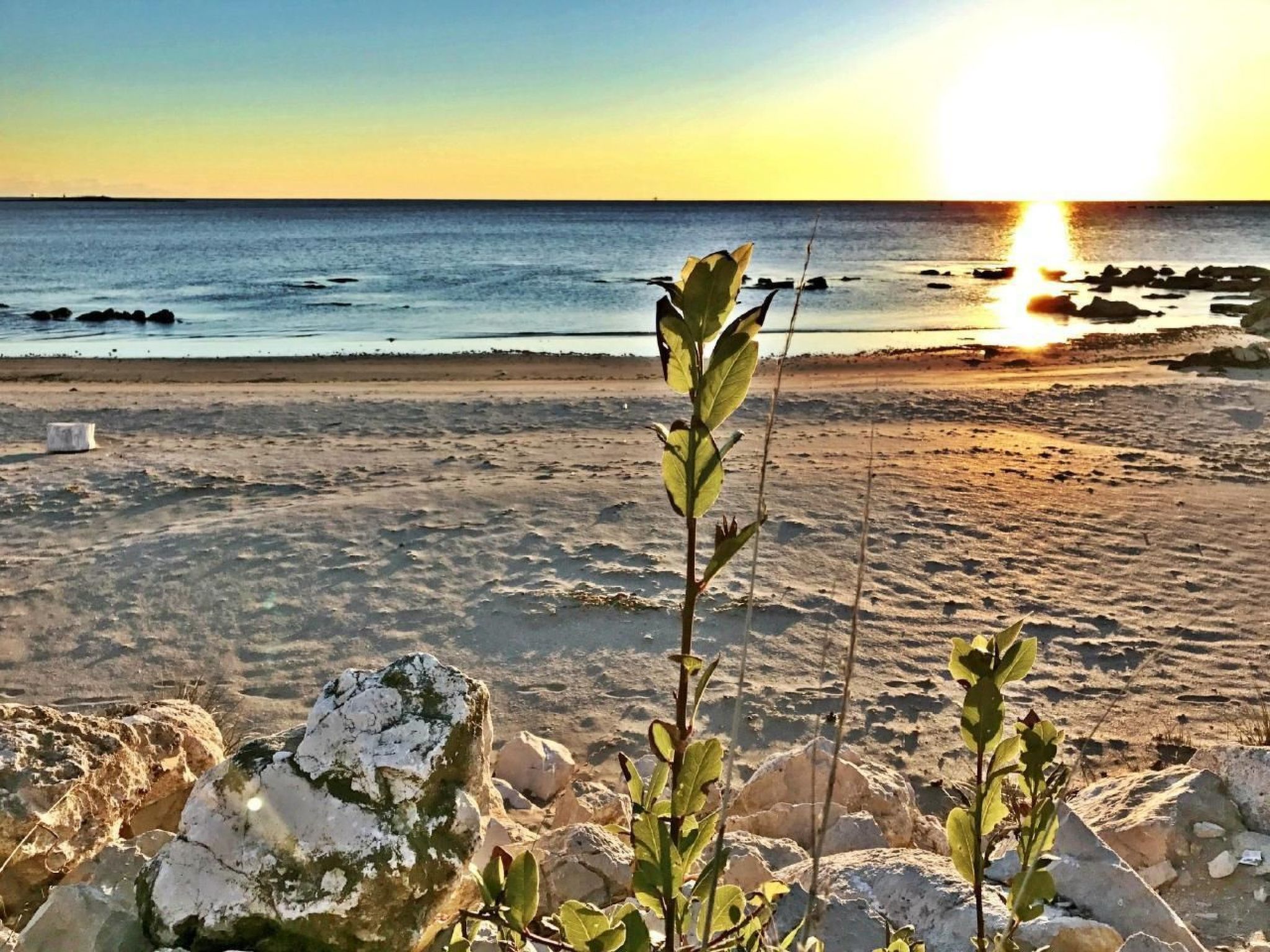 ANITA 3-Image-tags.info