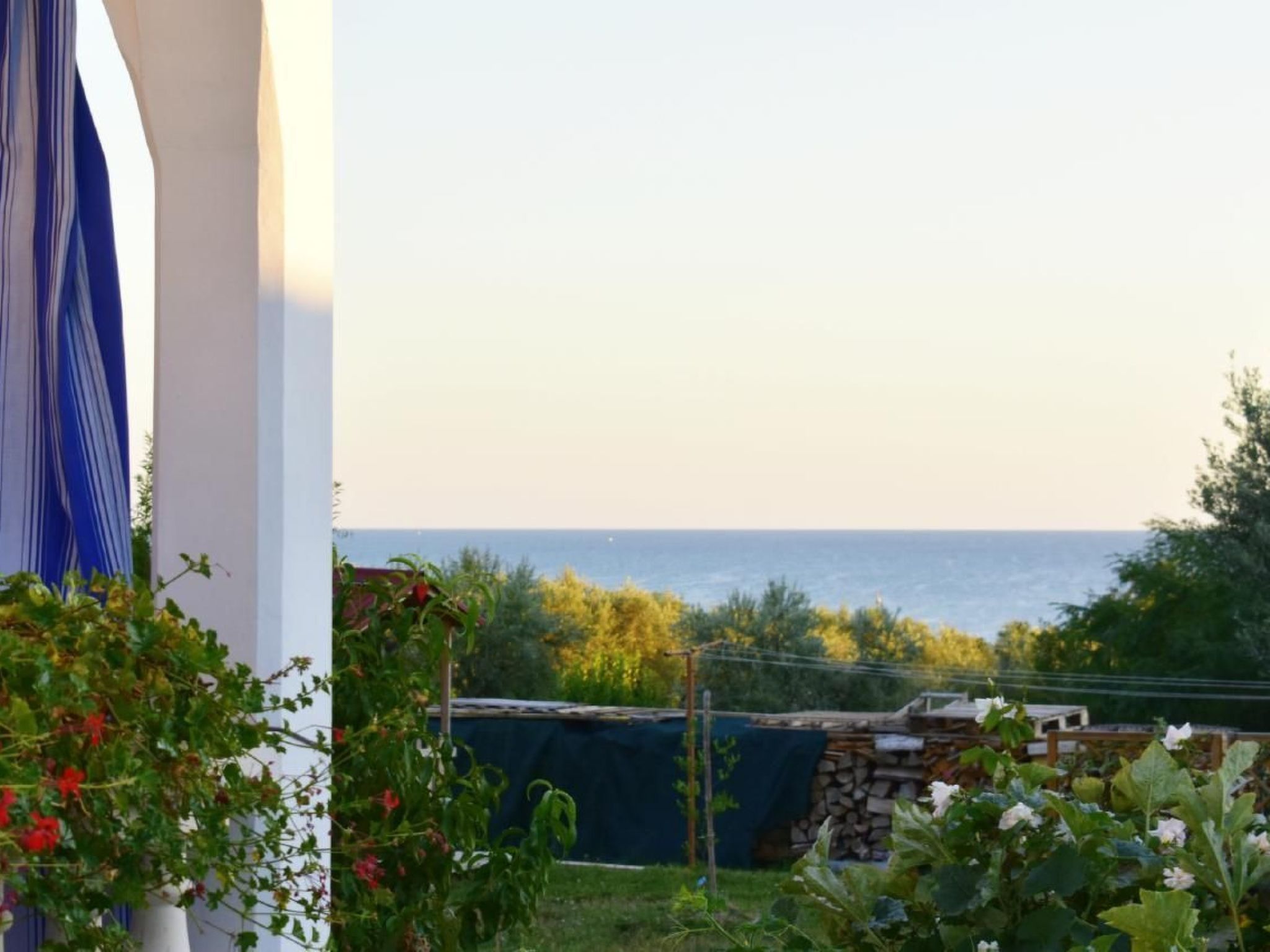 LUCIANA 1-Image-tags.info