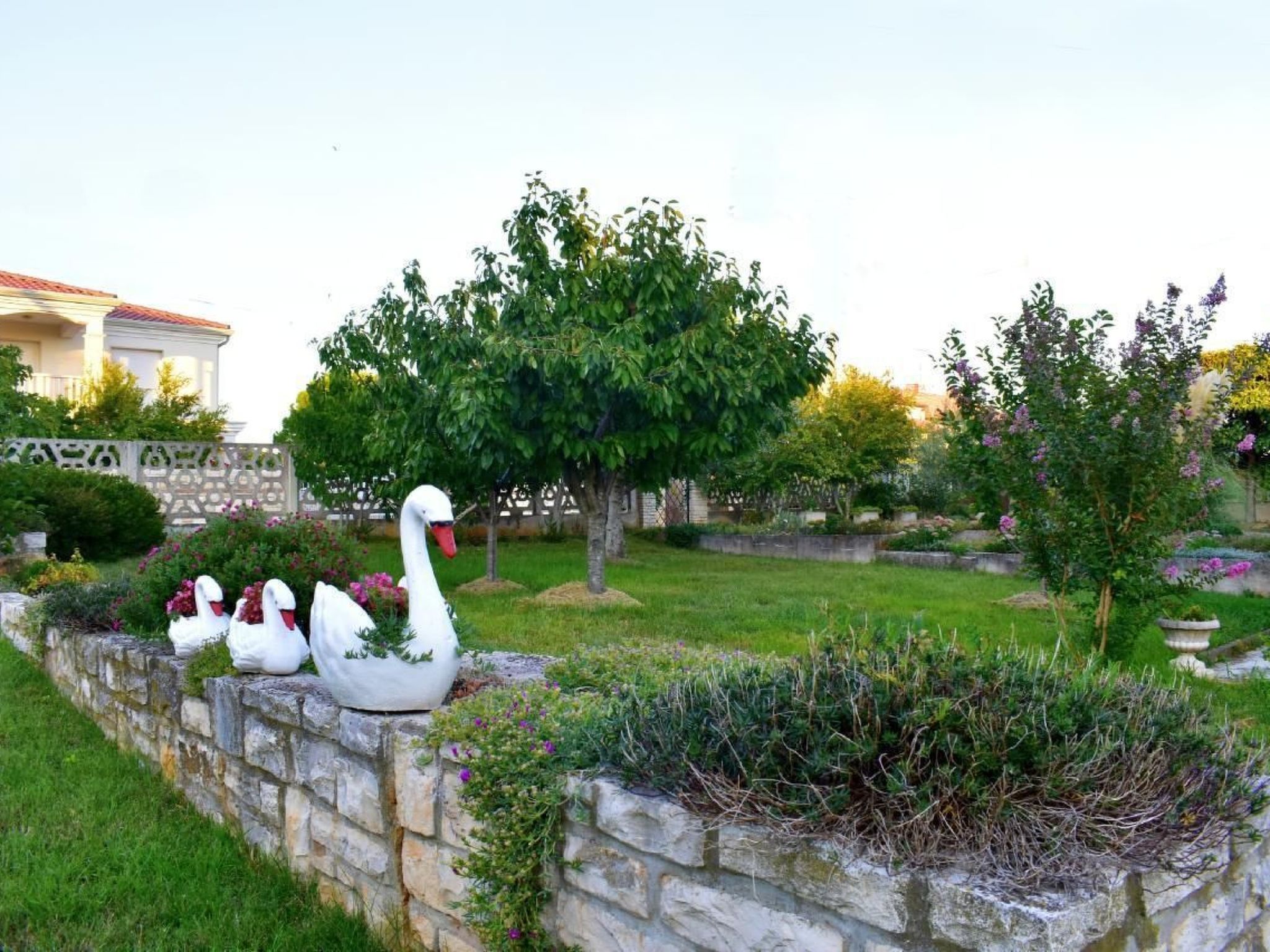 LUCIANA 1-Image-tags.info