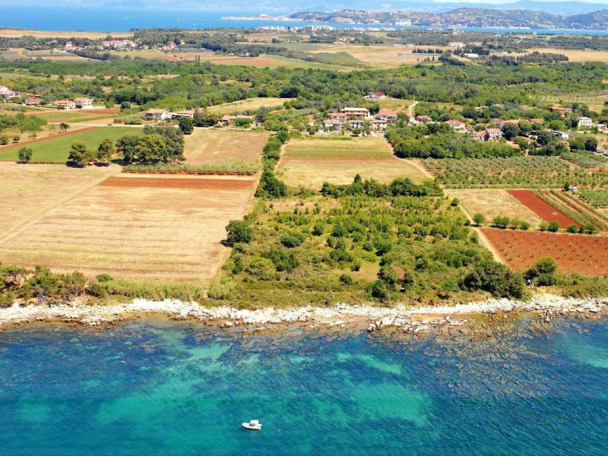 LUCIANA 1-Image-tags.info