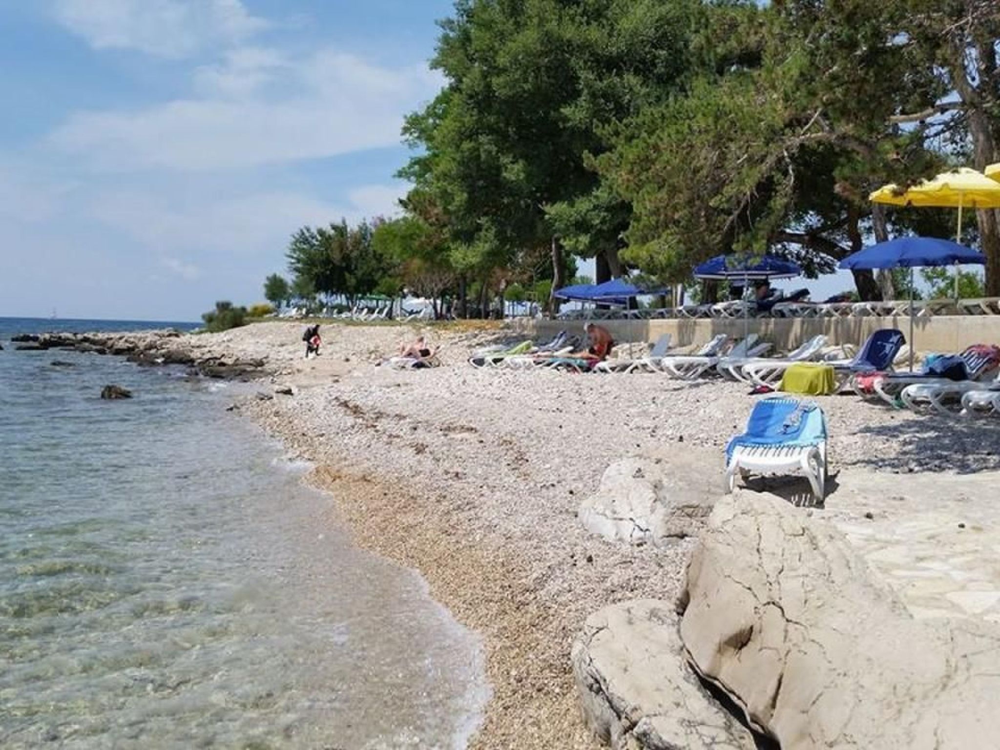 LUCIANA 1-Image-tags.info