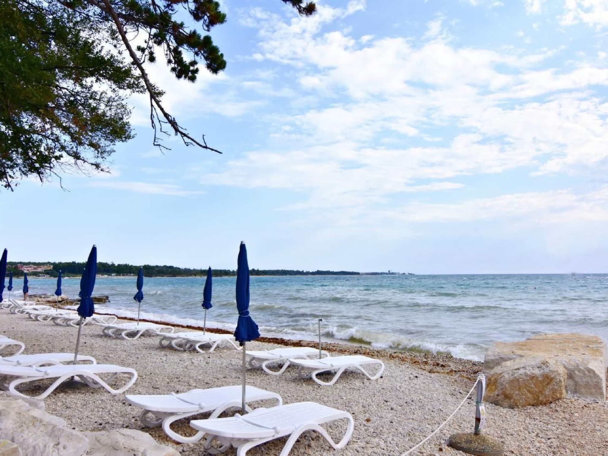 LUCIANA 1-Image-tags.info