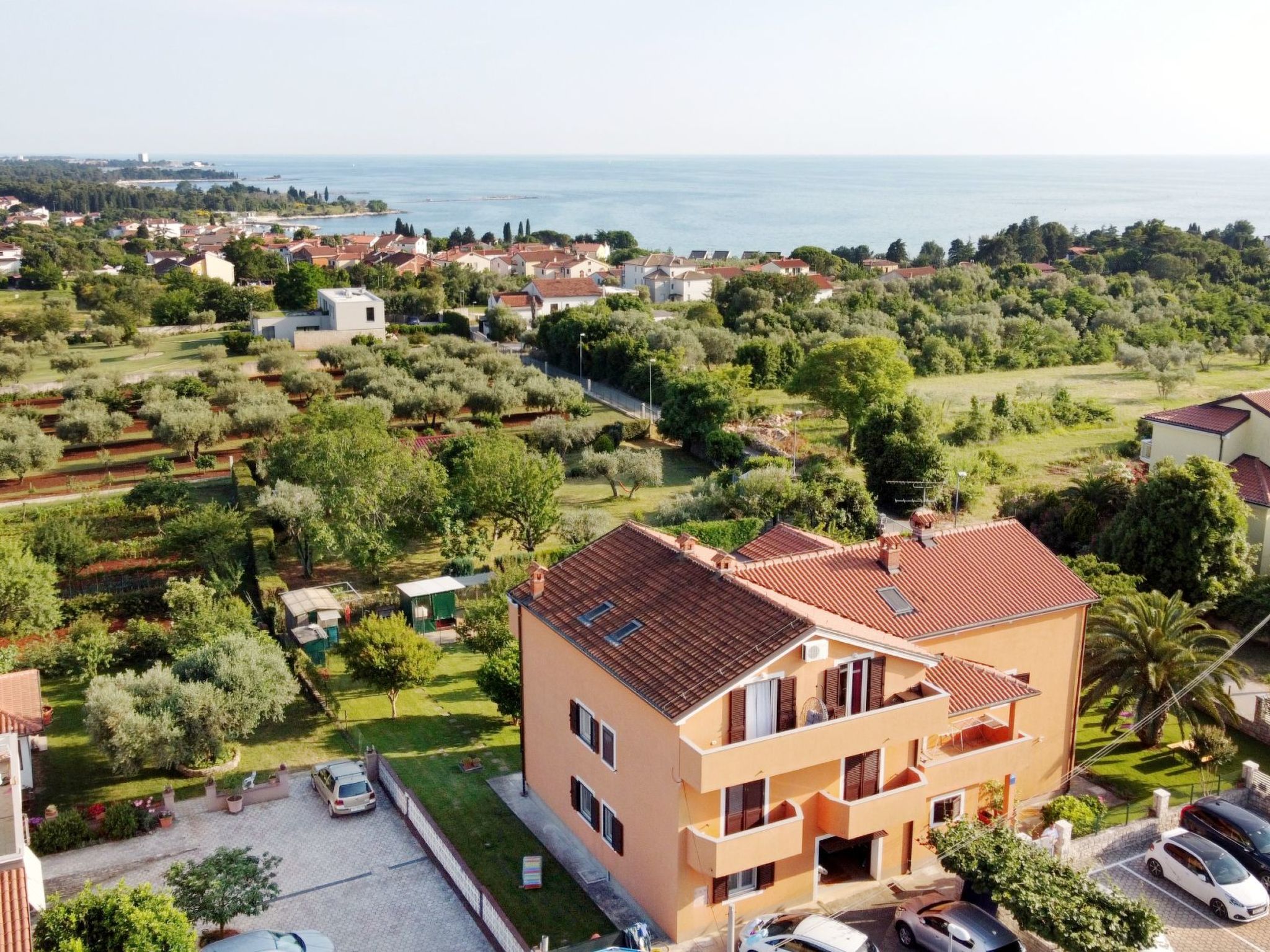 ANITA 1-Image-tags.info