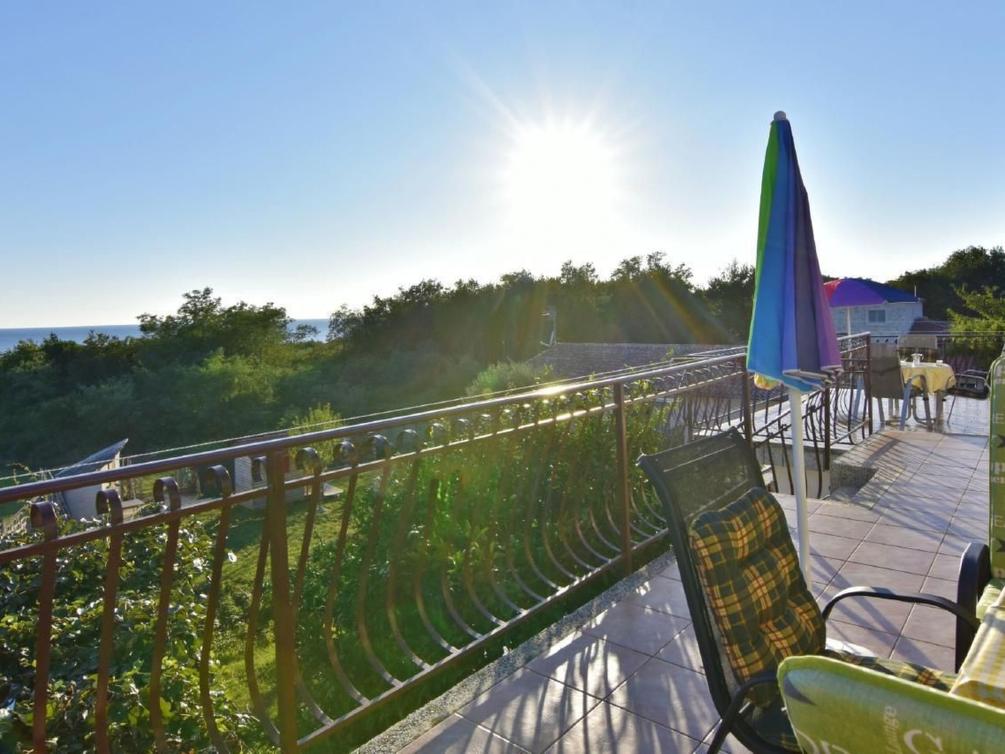 Luciana 2-Image-tags.info