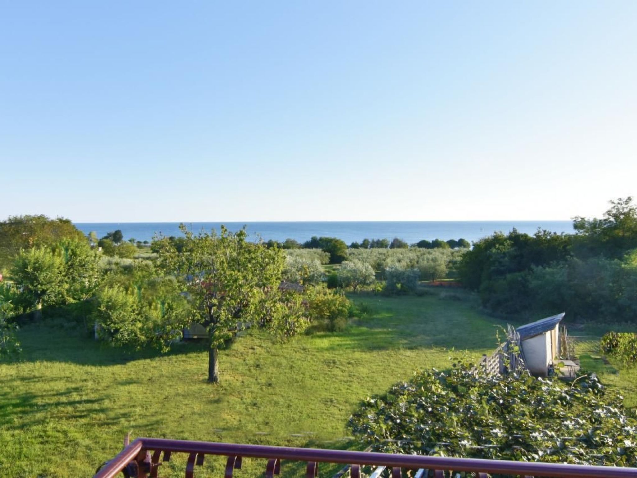 Luciana 2-Image-tags.info