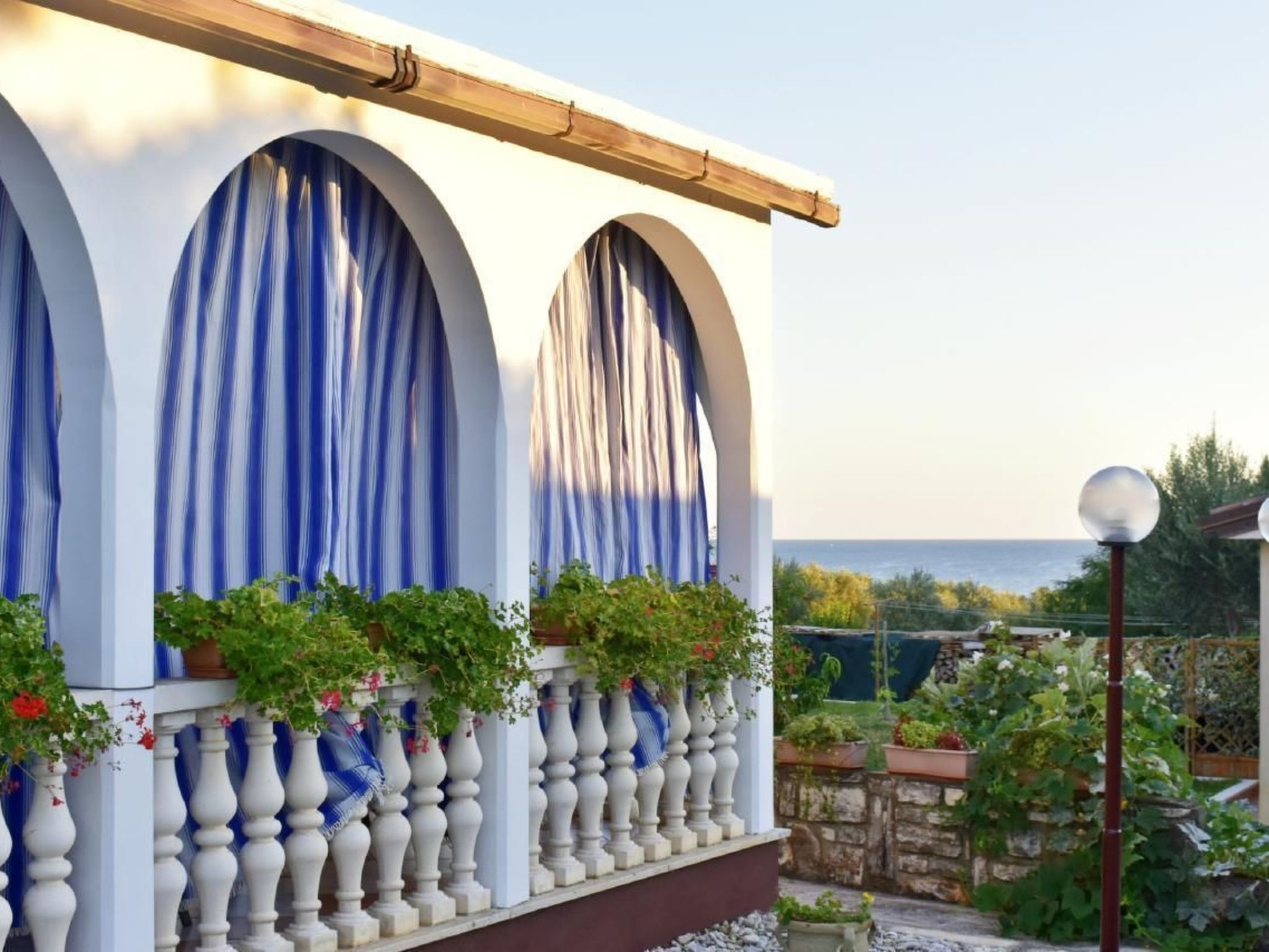 Luciana 2-Image-tags.info