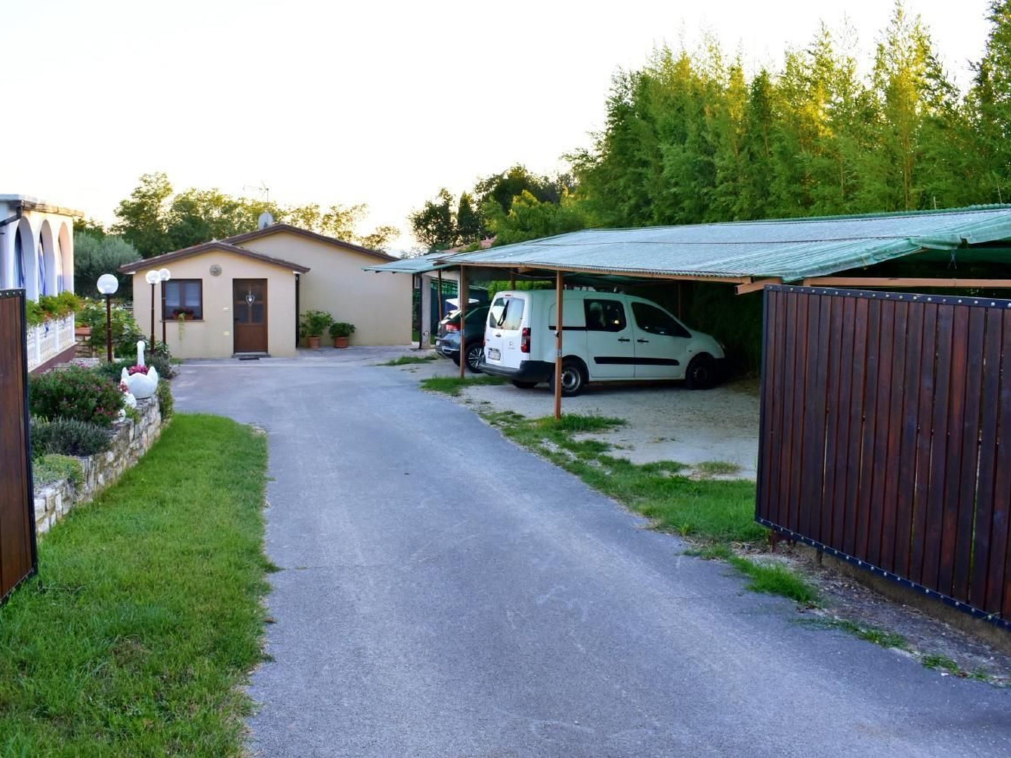 Luciana 2-Image-tags.info