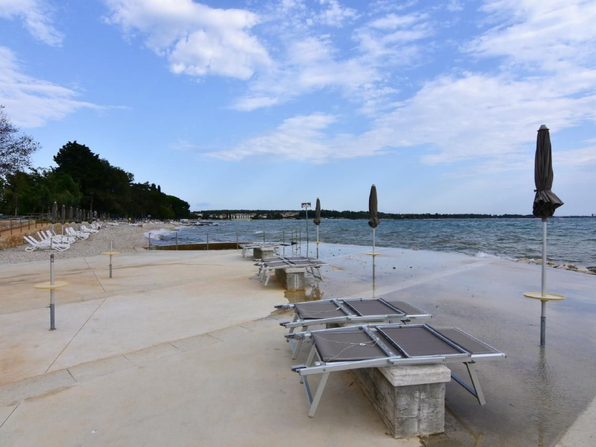 Luciana 2-Image-tags.info