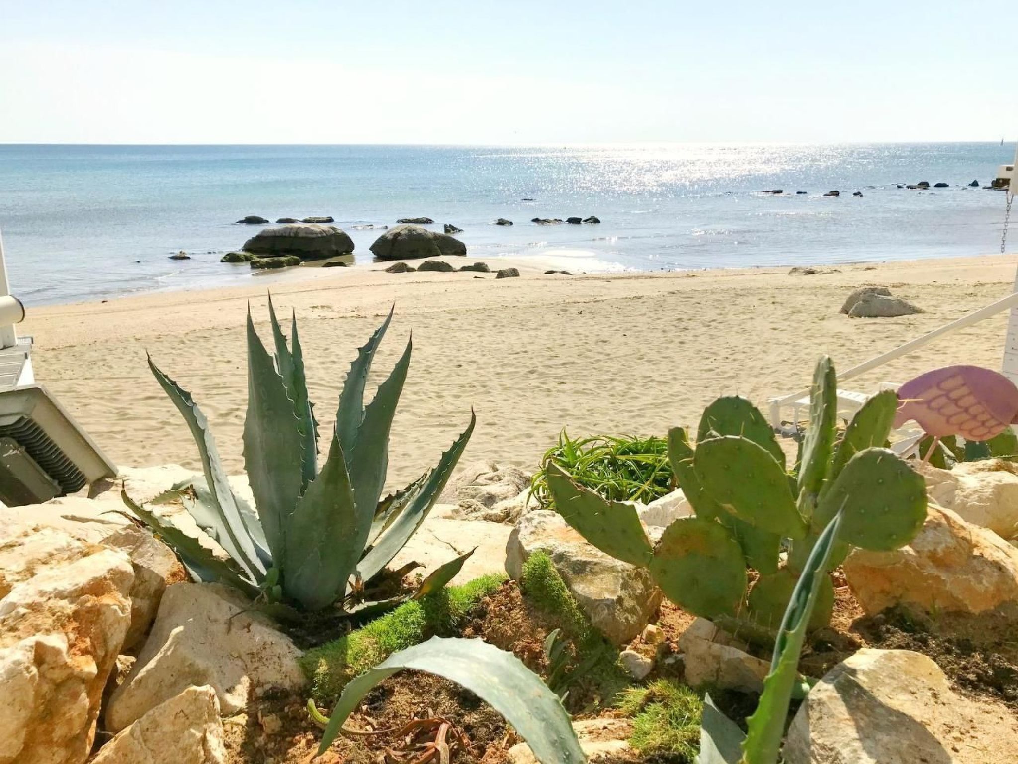 Luciana 2-Image-tags.info