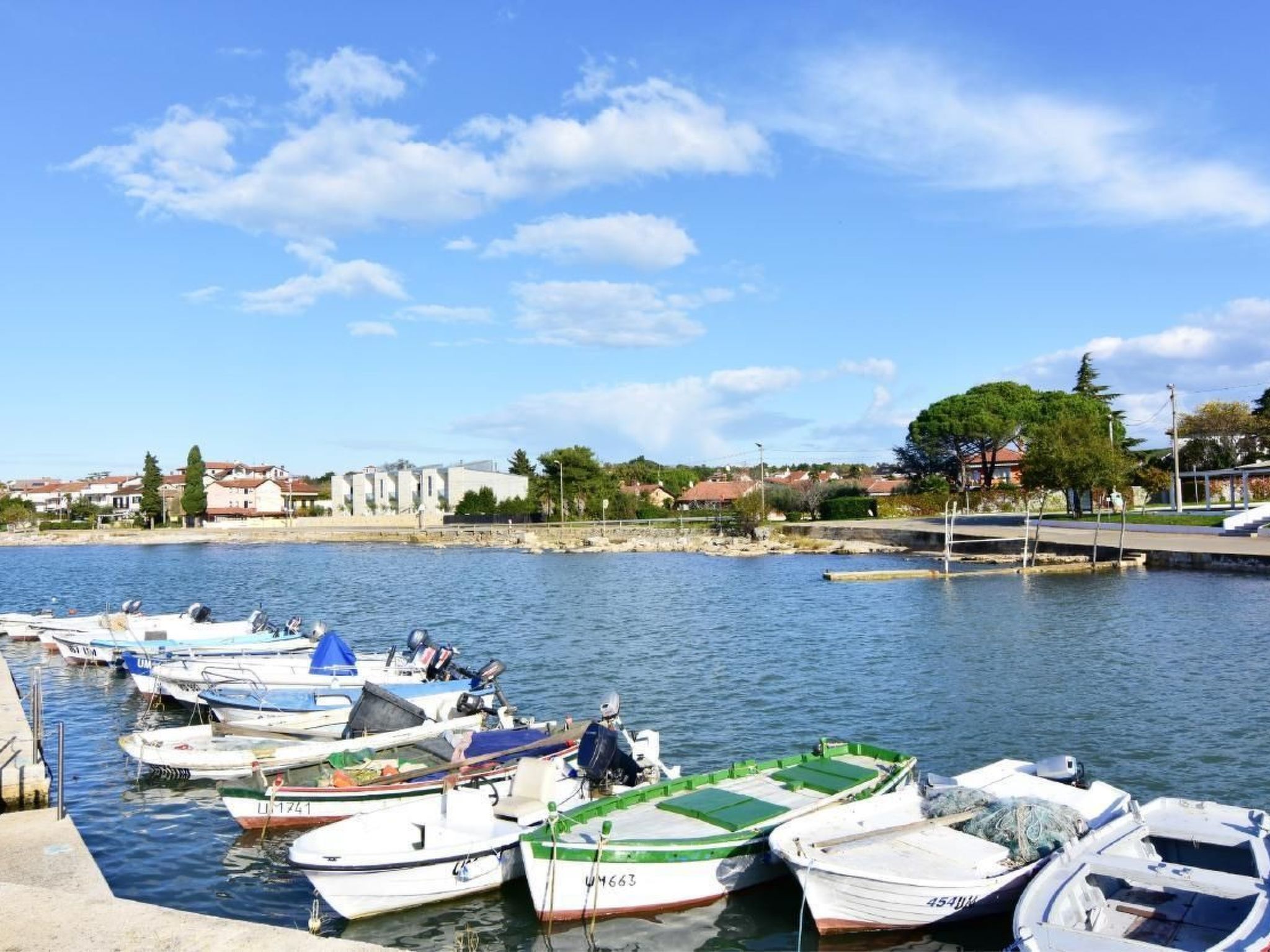 Luciana 2-Image-tags.info