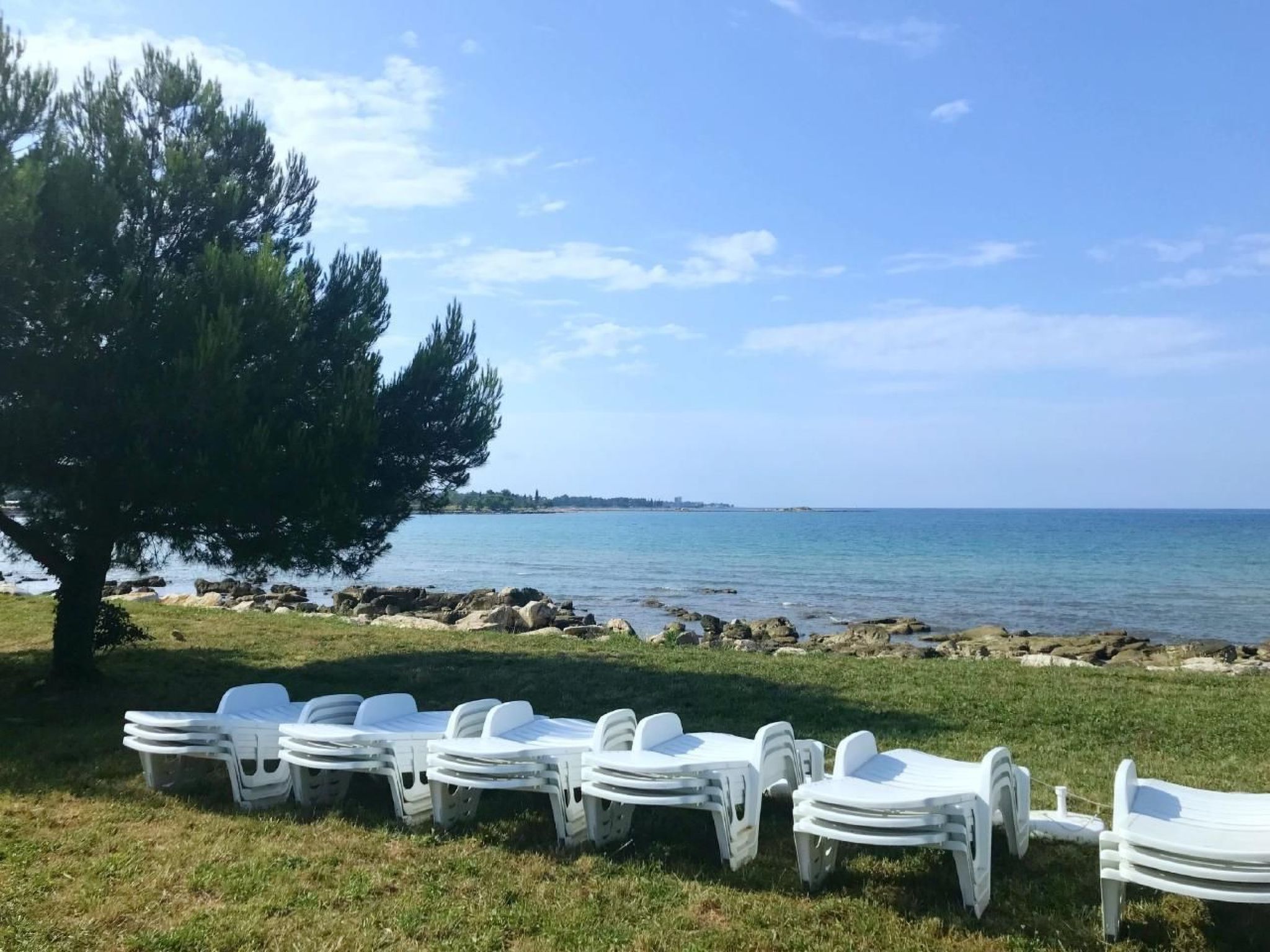 Luciana 2-Image-tags.info