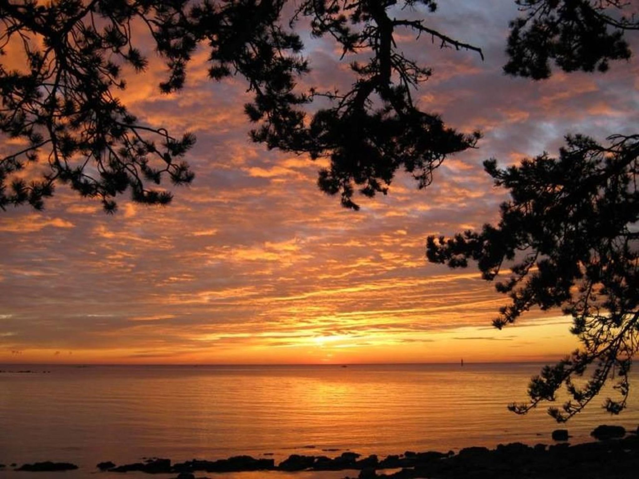 Luciana 2-Image-tags.info