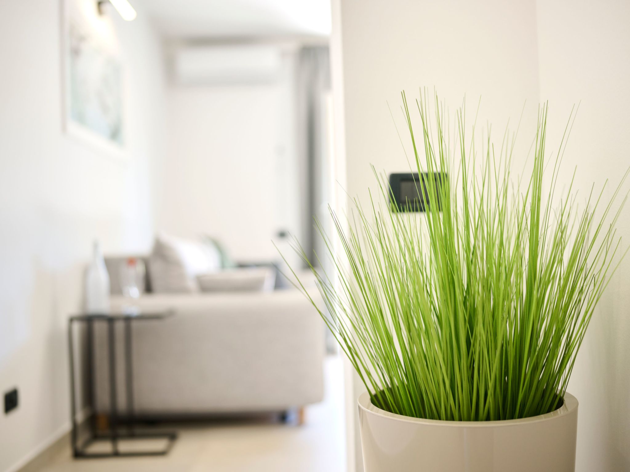 In Zambratija mit eigenem Parkplatz-Inside