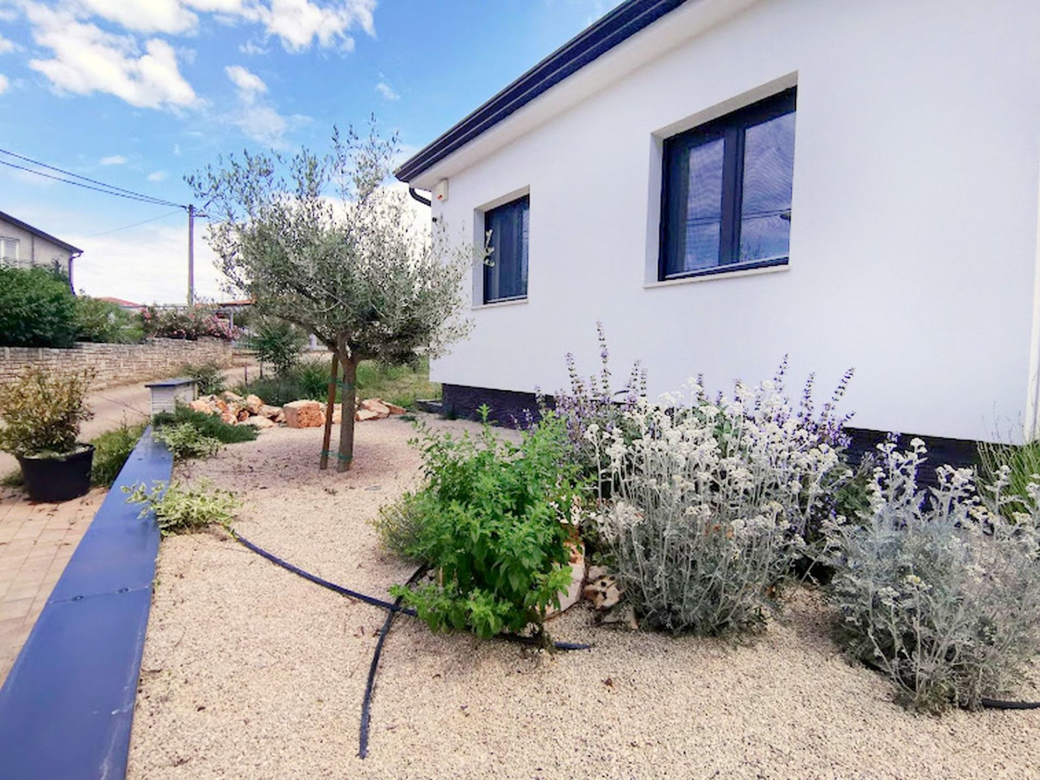 Vila Oliva Štrika-Image-tags.info