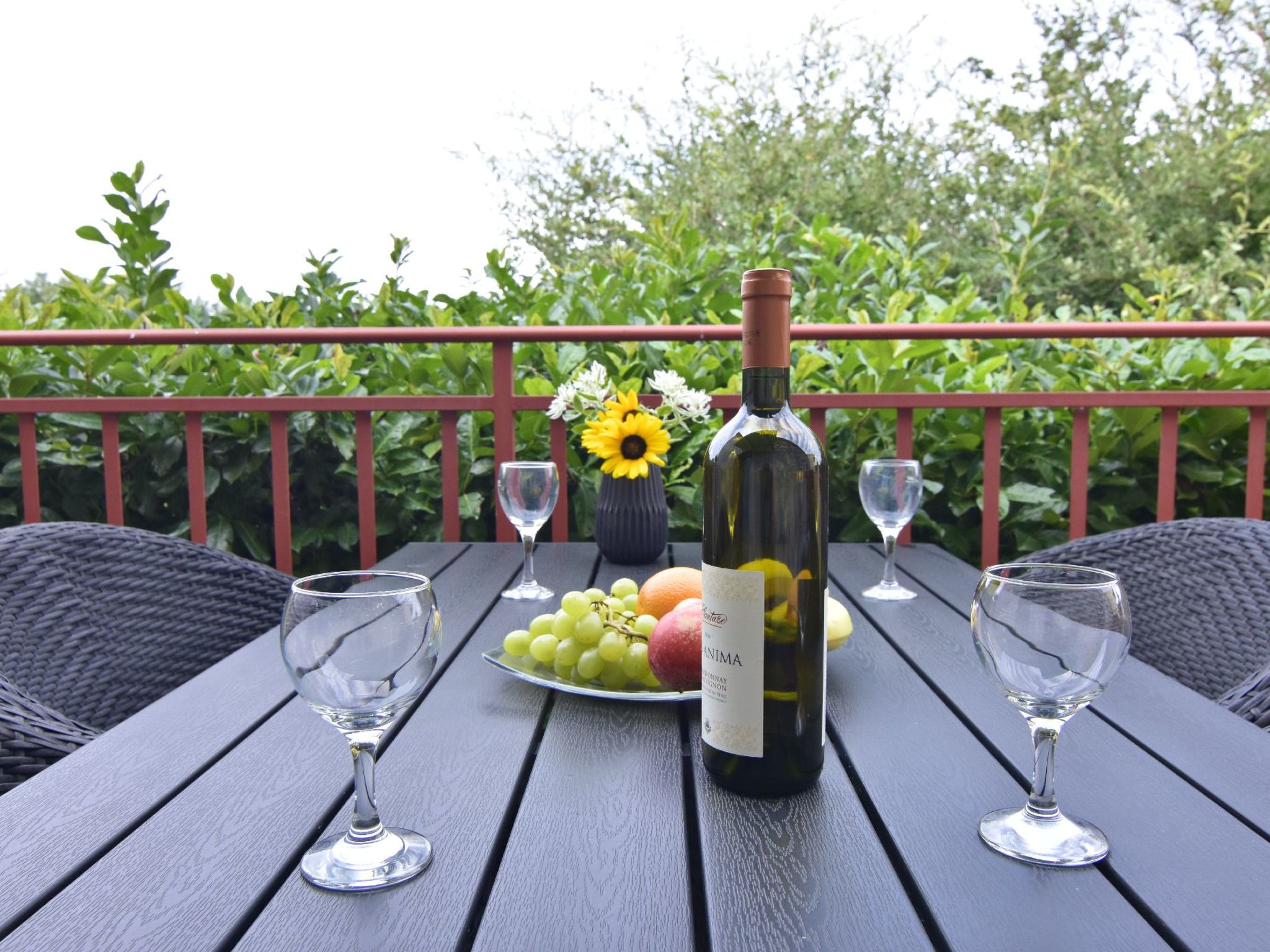 Große Wohnung in Babići mit Garten und Terrasse-Image-tags.info