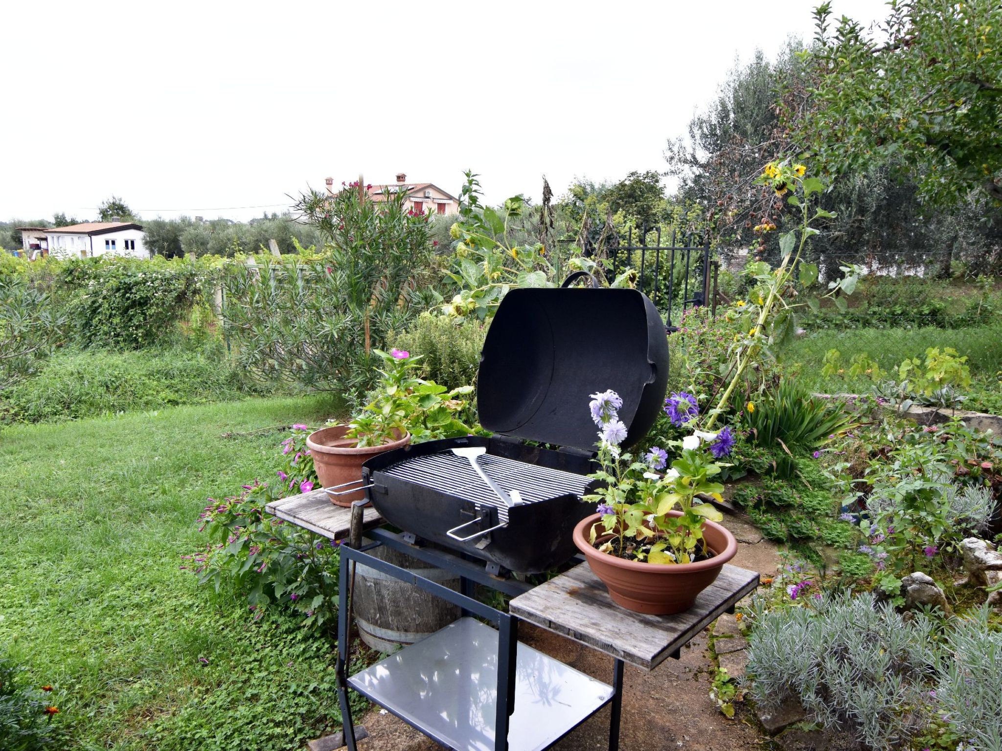 Große Wohnung in Babići mit Garten und Terrasse-Image-tags.info
