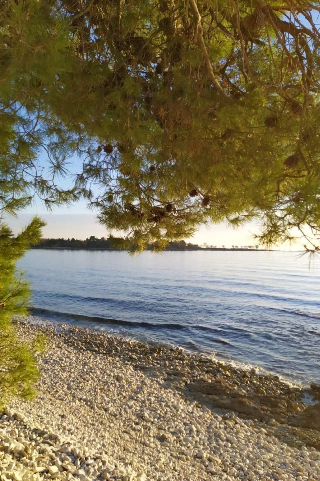 Große Wohnung in Babići mit Garten und Terrasse-Image-tags.info